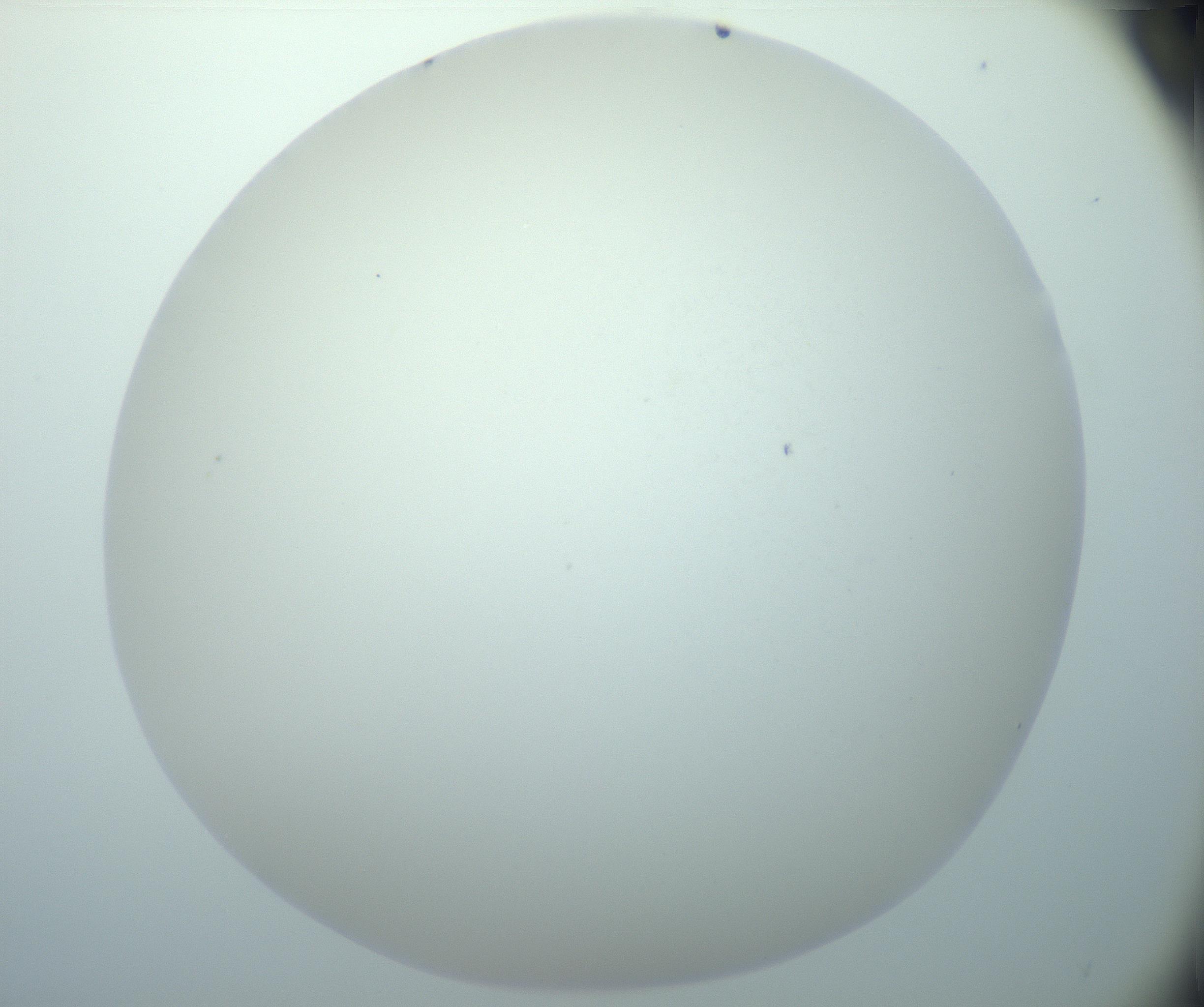 RI01_03_000_0212_Proj1_Clon1_MC_0000MC103014_003_161122_01_05_02_00_99_002_001_RAI.jpg