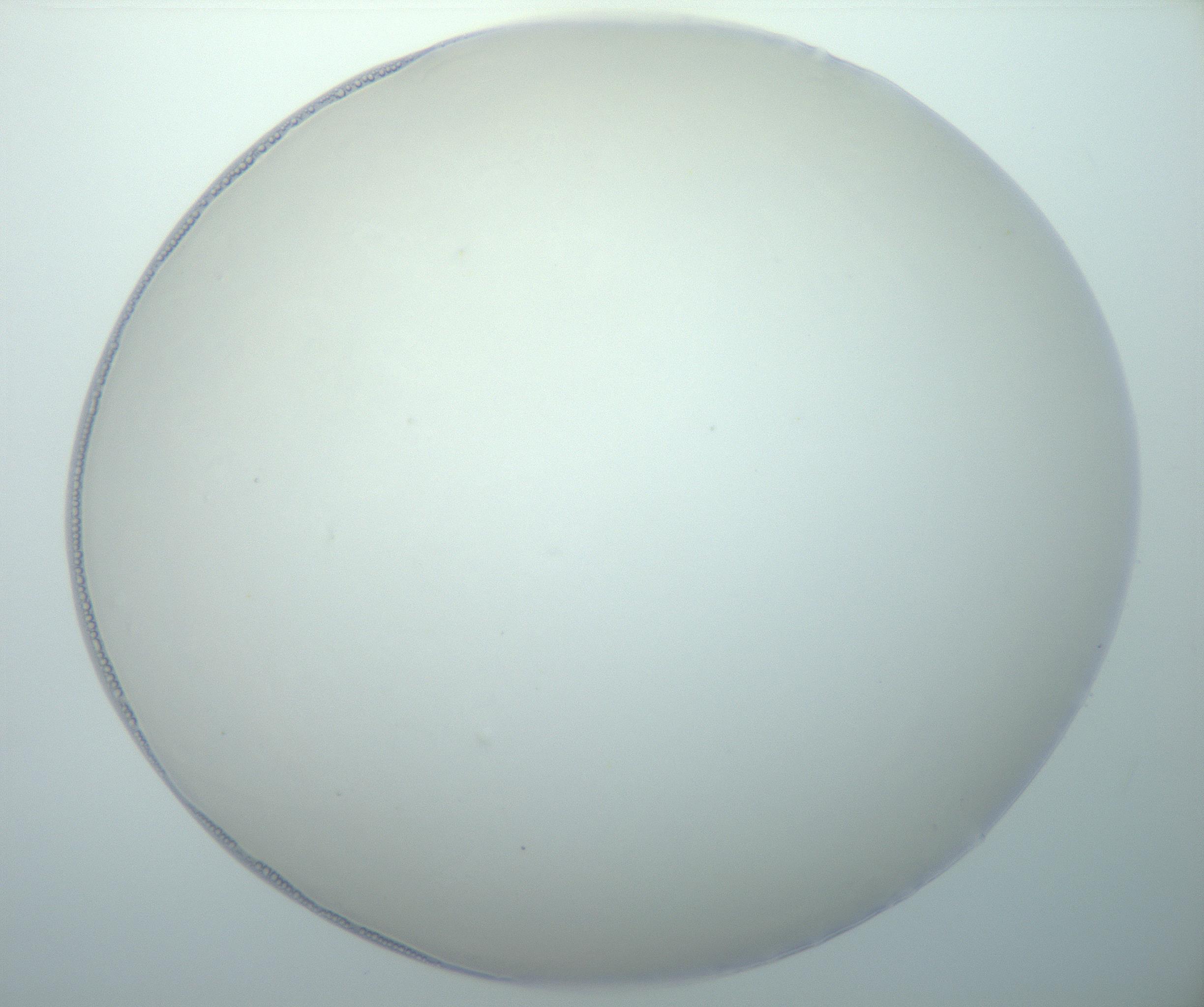 RI01_03_000_0212_Proj1_Clon1_MC_0000MC103014_003_161122_01_08_01_00_99_002_001_RAI.jpg