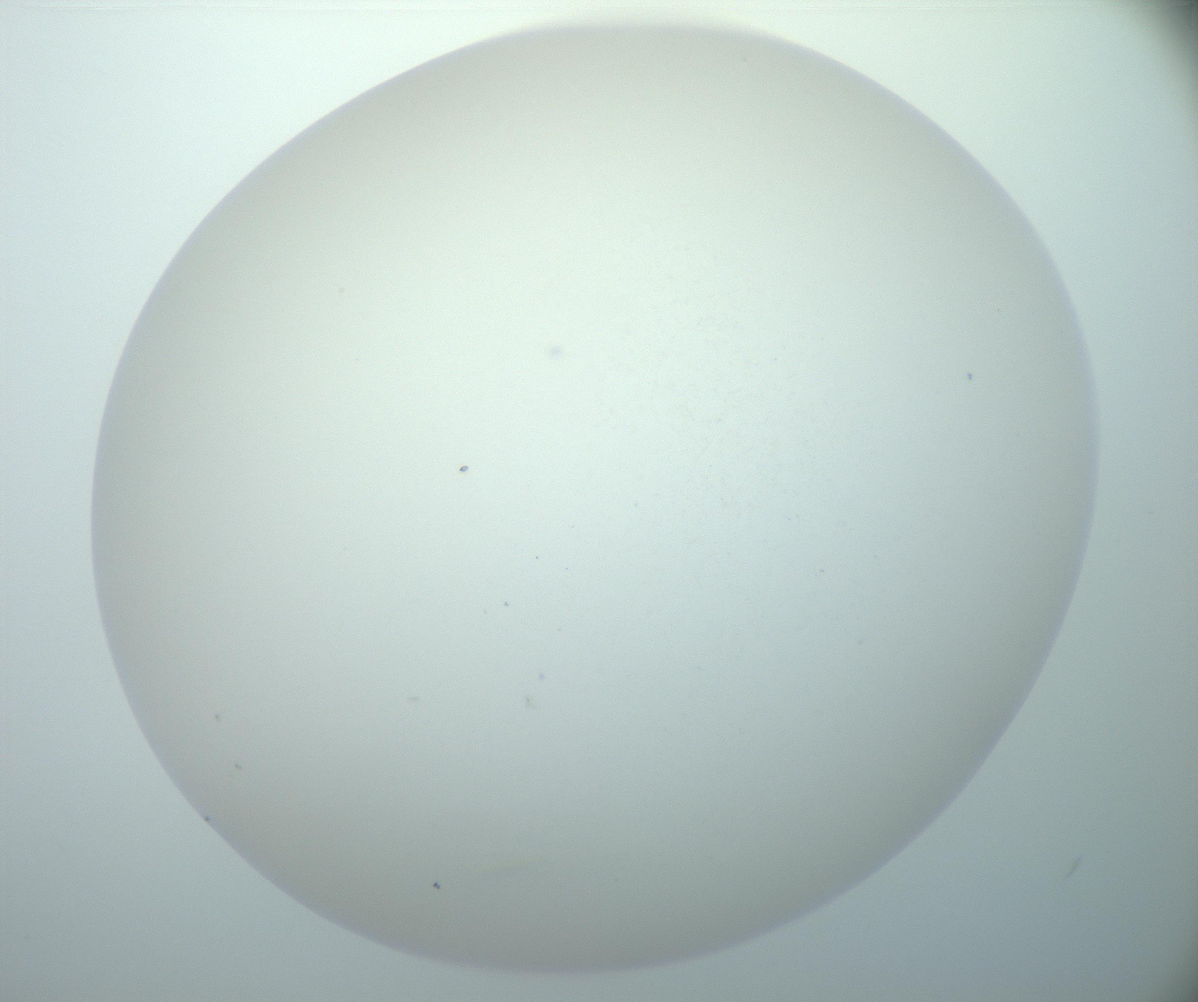 RI01_03_000_0212_Proj1_Clon1_MC_0000MC103014_003_161122_01_08_02_00_99_002_001_RAI.jpg