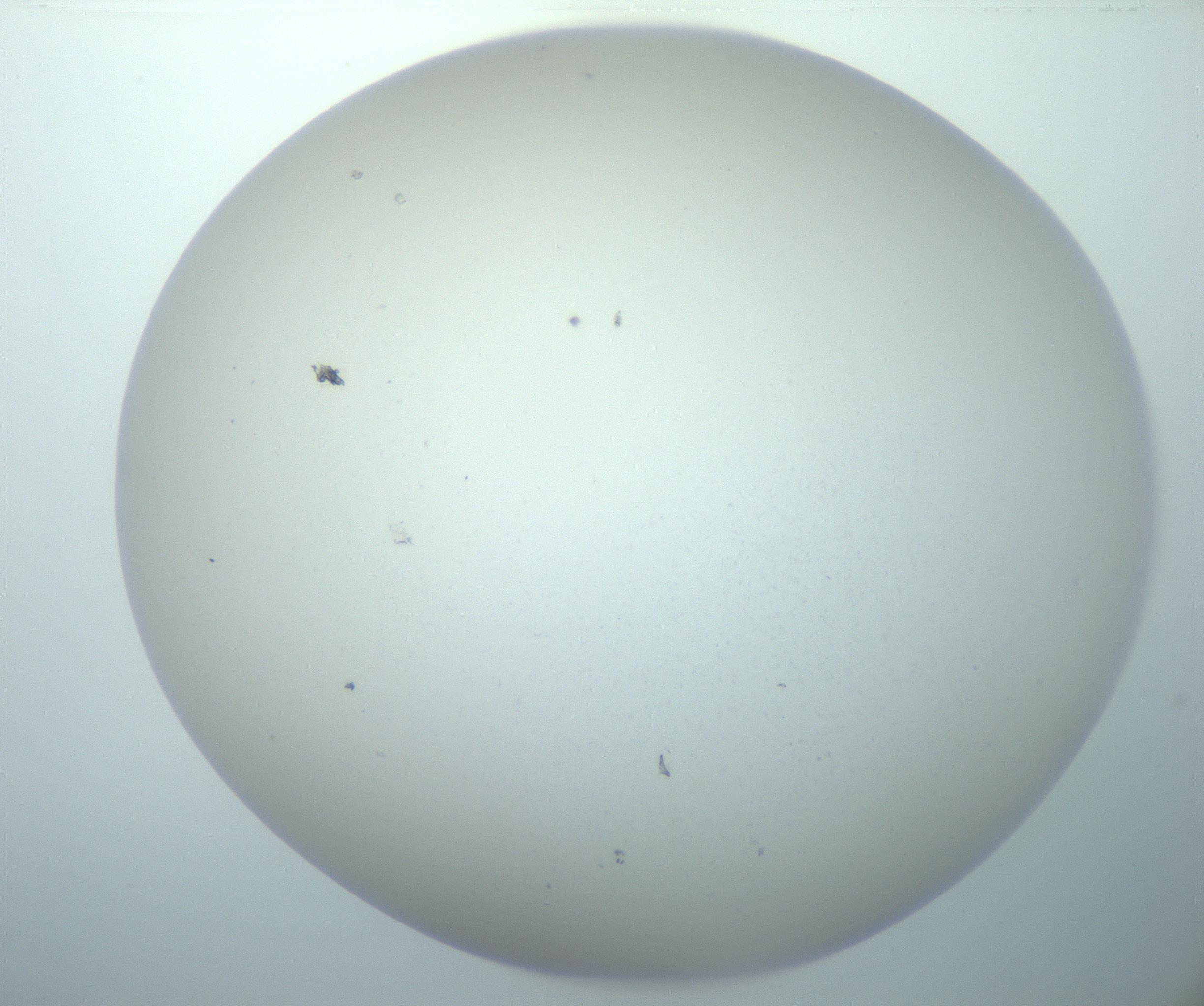 RI01_03_000_0212_Proj1_Clon1_MC_0000MC103014_003_161122_02_01_02_00_99_002_001_RAI.jpg
