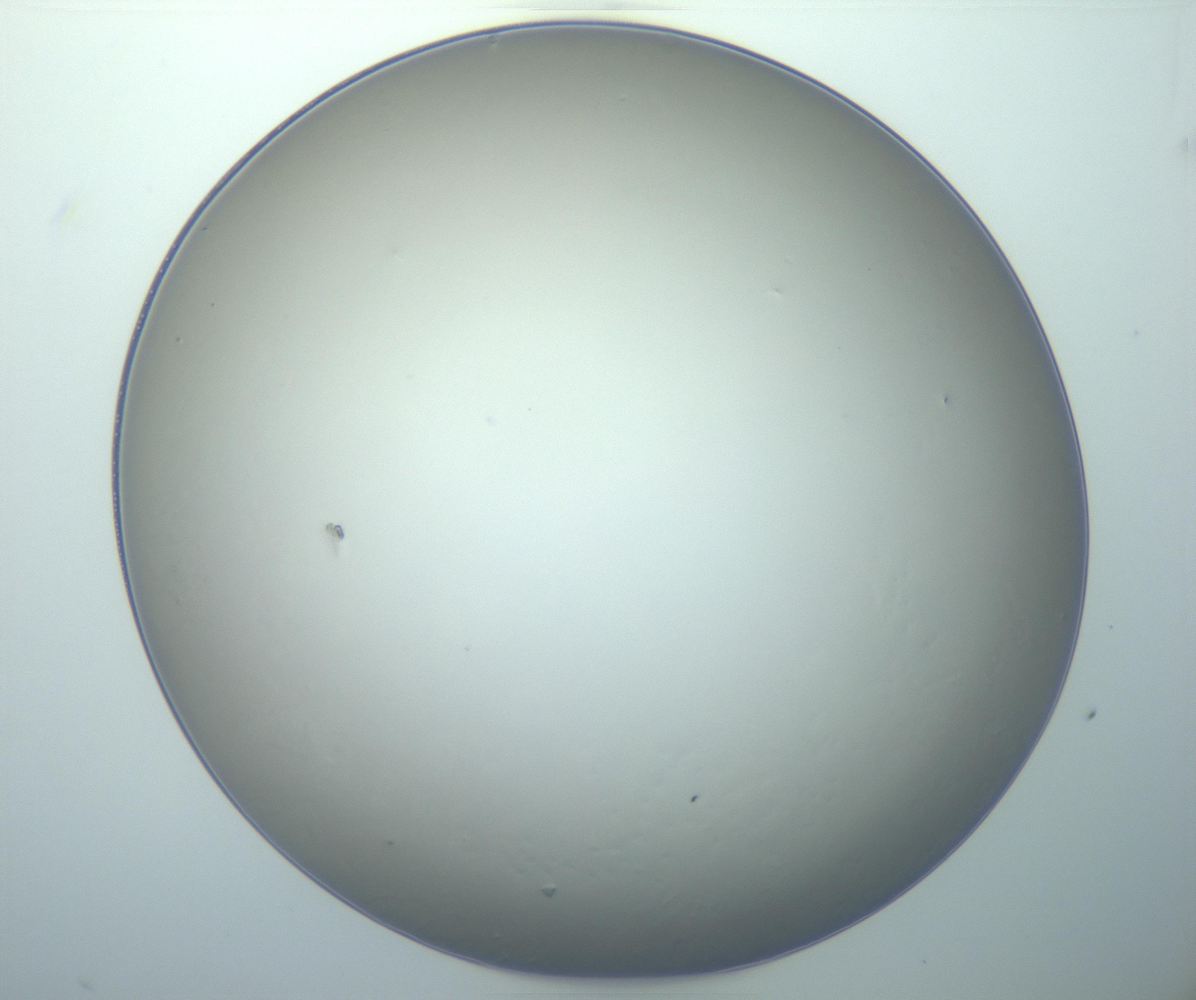 RI01_03_000_0212_Proj1_Clon1_MC_0000MC103014_003_161122_02_02_01_00_99_002_001_RAI.jpg