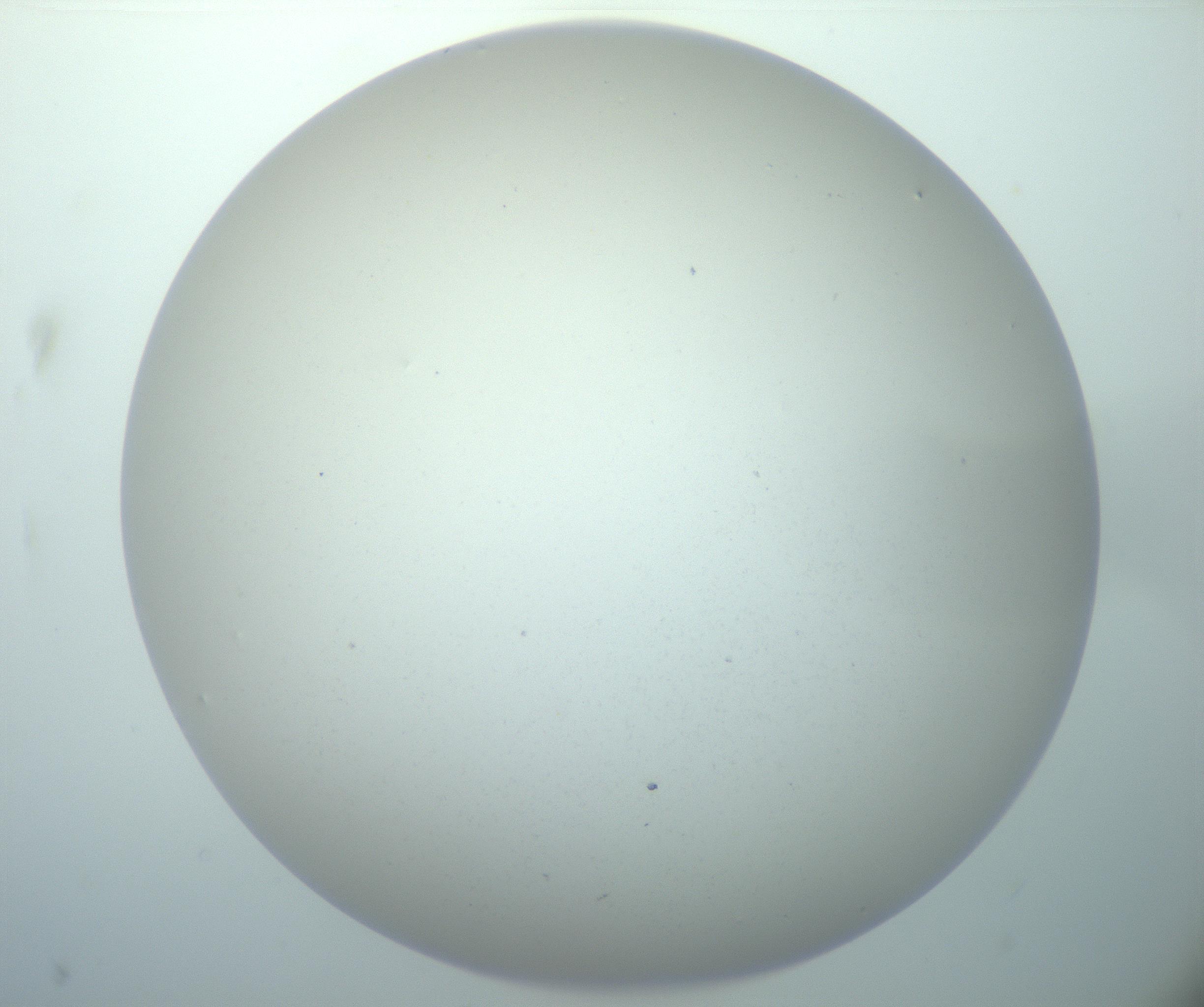 RI01_03_000_0212_Proj1_Clon1_MC_0000MC103014_003_161122_02_02_02_00_99_002_001_RAI.jpg