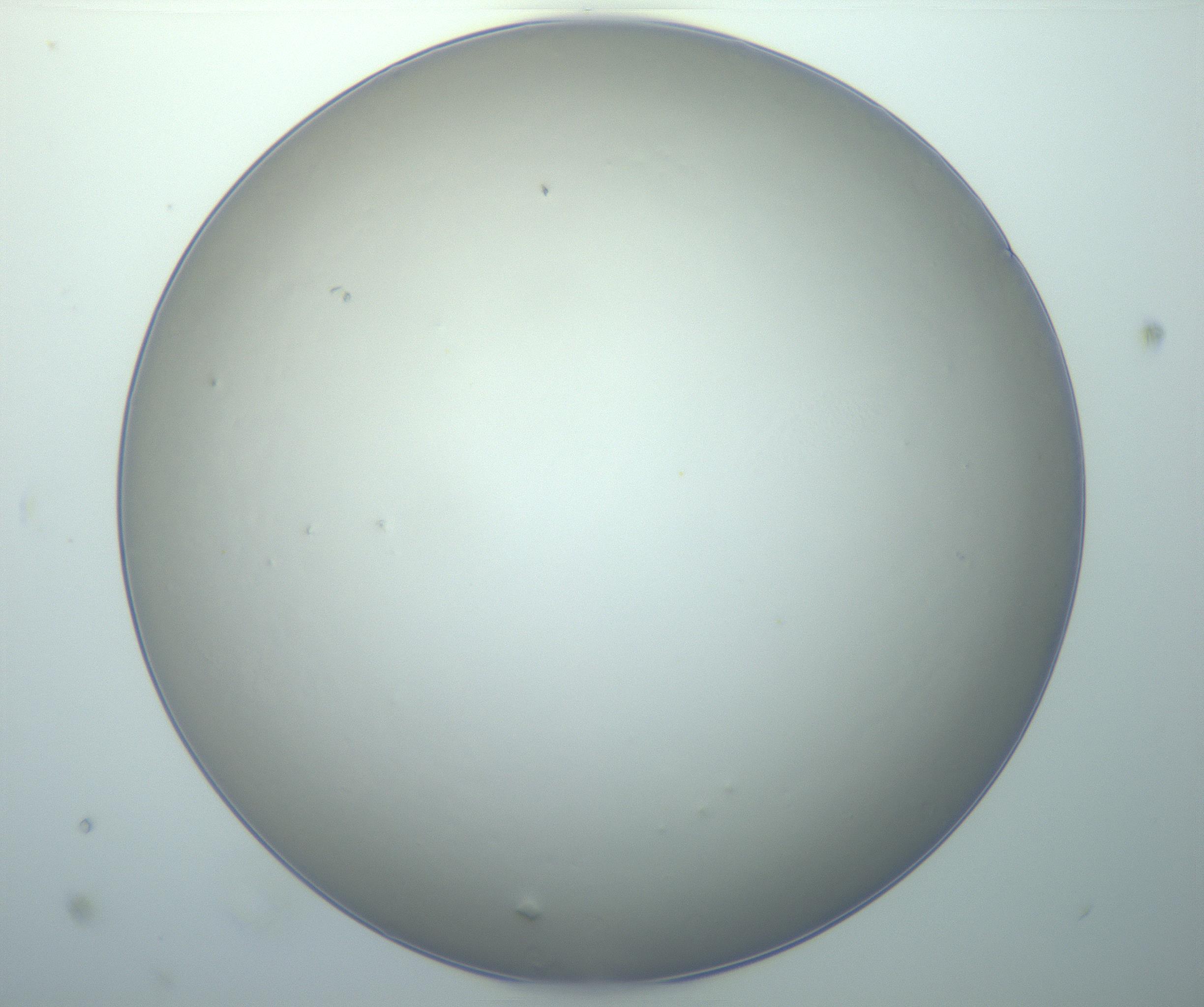 RI01_03_000_0212_Proj1_Clon1_MC_0000MC103014_003_161122_02_03_01_00_99_002_001_RAI.jpg