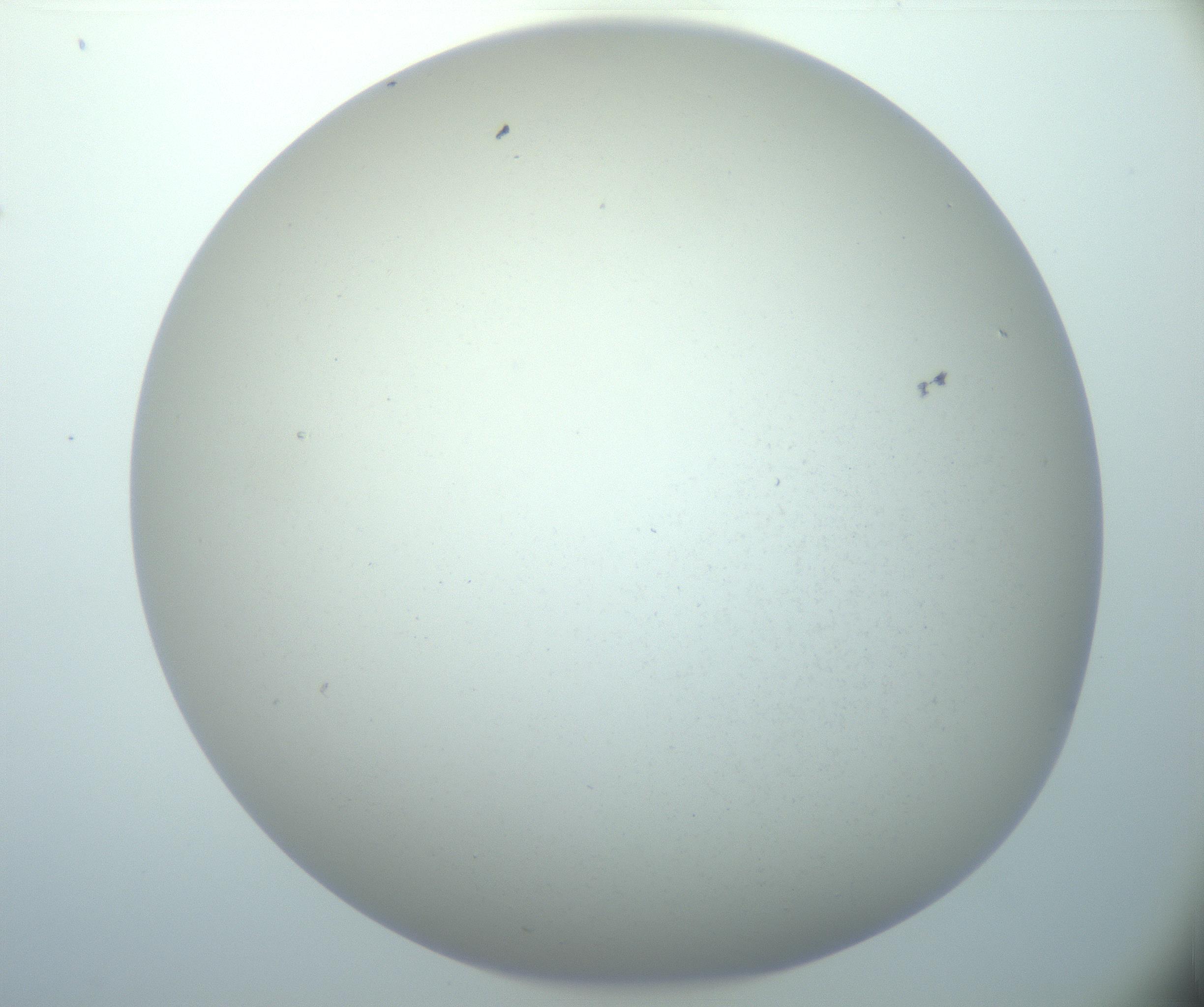 RI01_03_000_0212_Proj1_Clon1_MC_0000MC103014_003_161122_02_03_02_00_99_002_001_RAI.jpg