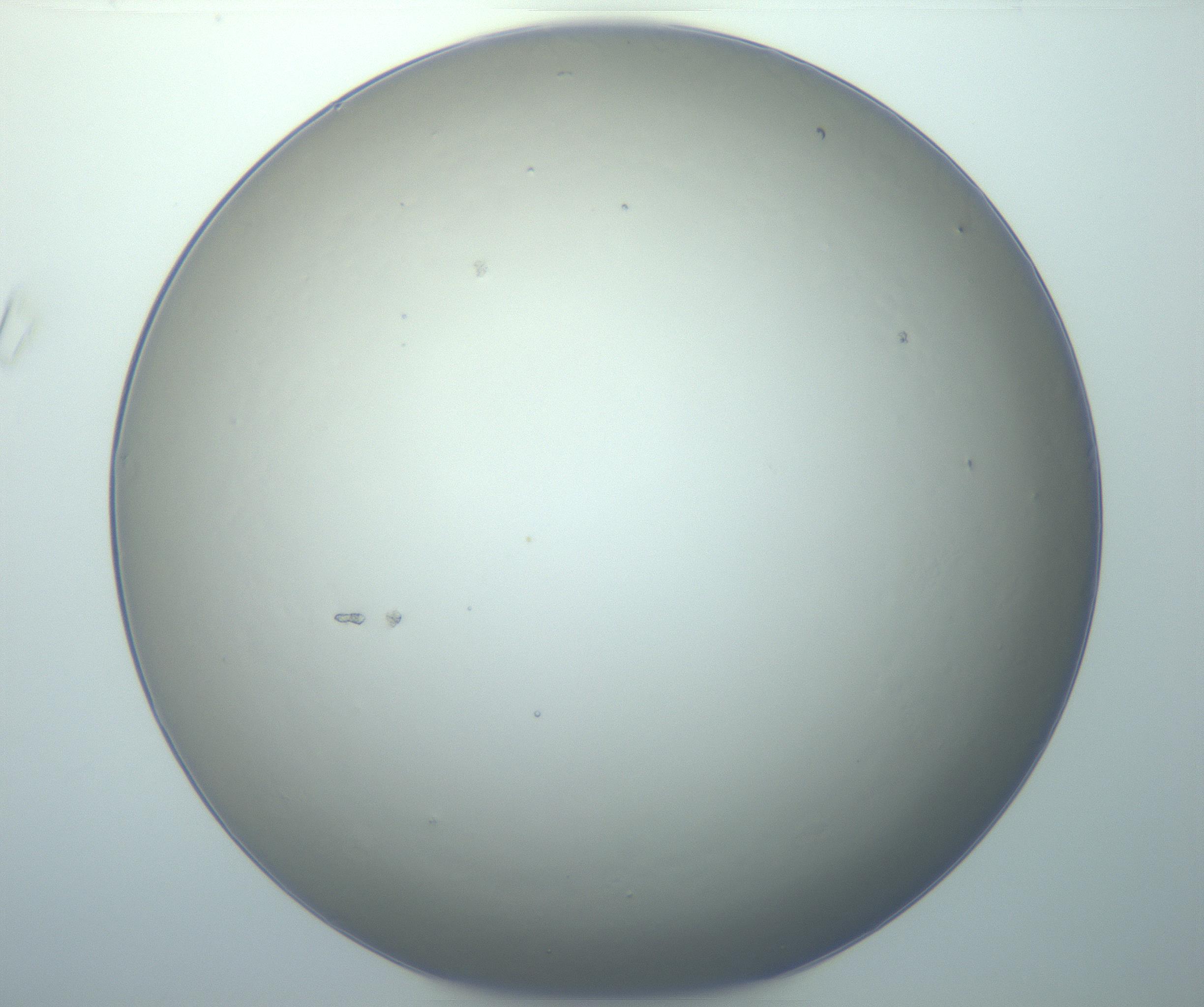 RI01_03_000_0212_Proj1_Clon1_MC_0000MC103014_003_161122_02_04_01_00_99_002_001_RAI.jpg