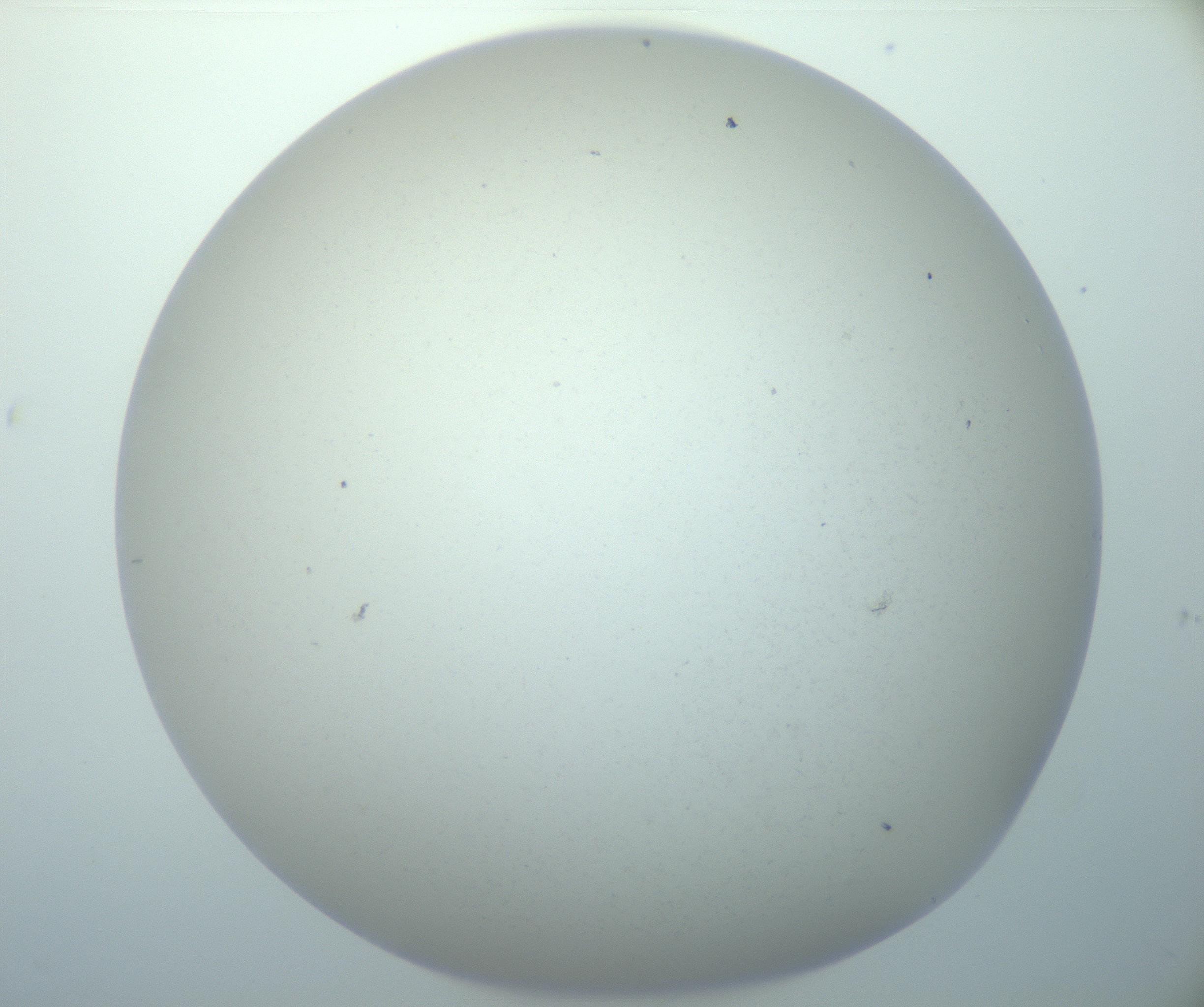 RI01_03_000_0212_Proj1_Clon1_MC_0000MC103014_003_161122_02_04_02_00_99_002_001_RAI.jpg