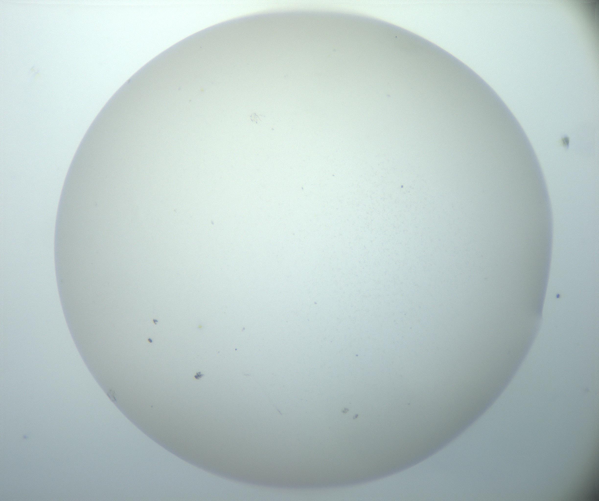 RI01_03_000_0212_Proj1_Clon1_MC_0000MC103014_003_161122_03_01_02_00_99_002_001_RAI.jpg
