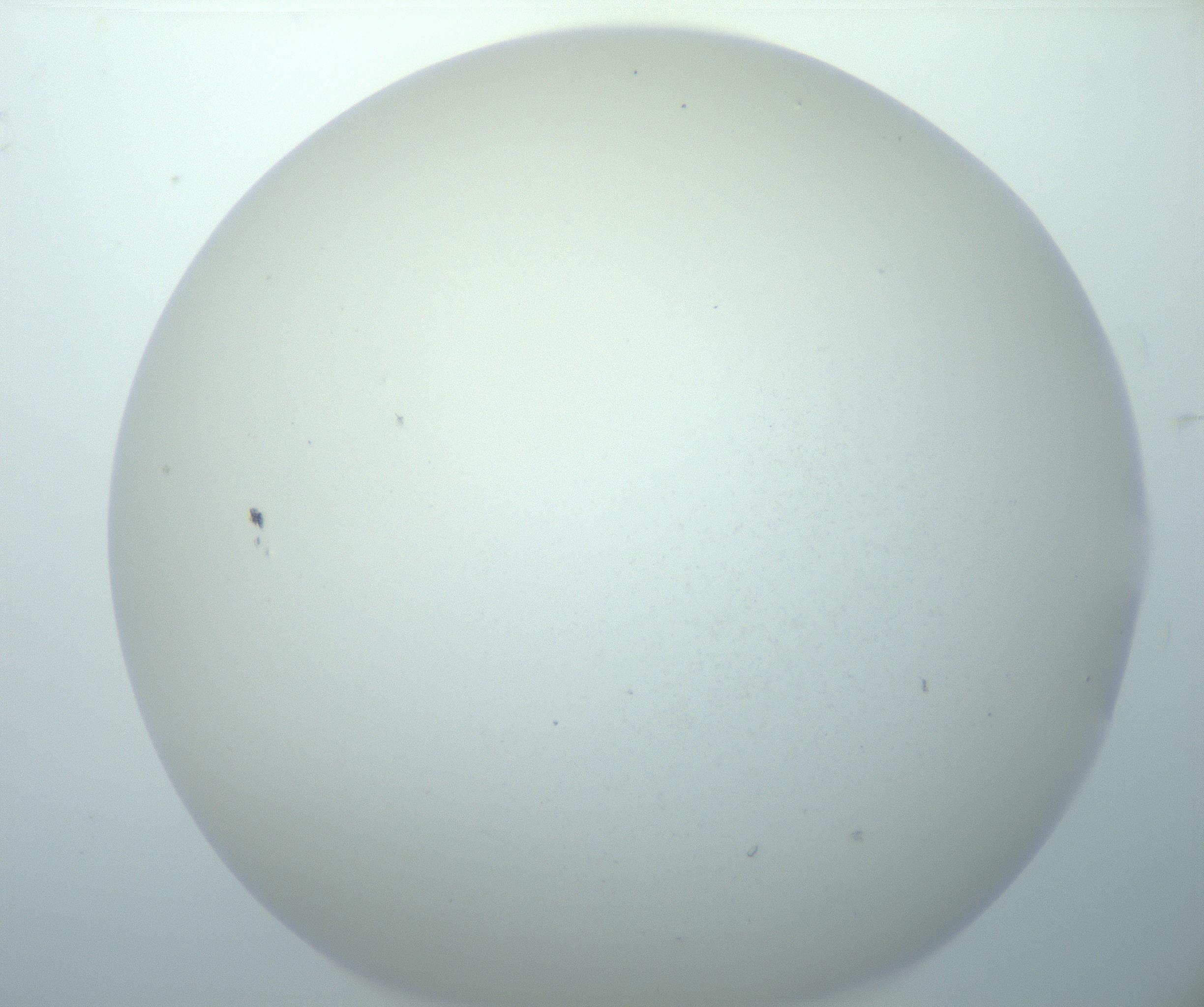 RI01_03_000_0212_Proj1_Clon1_MC_0000MC103014_003_161122_03_02_02_00_99_002_001_RAI.jpg
