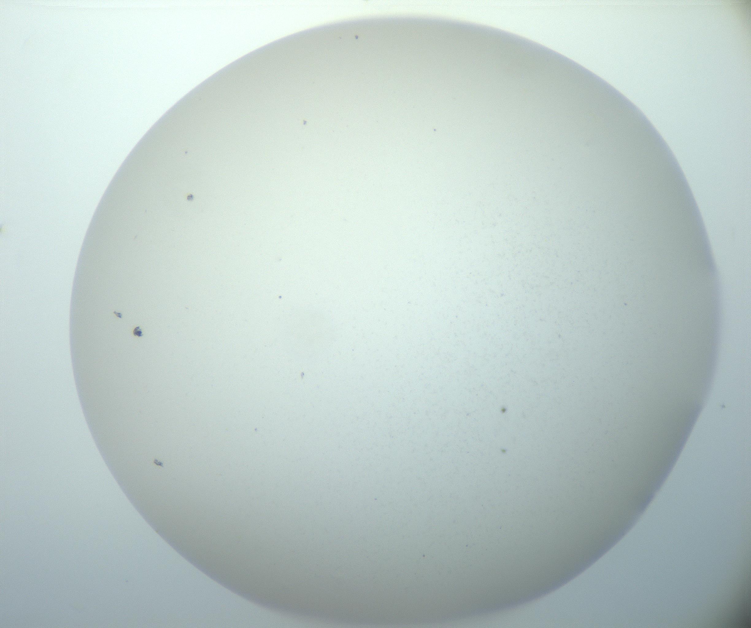 RI01_03_000_0212_Proj1_Clon1_MC_0000MC103014_003_161122_03_03_02_00_99_002_001_RAI.jpg