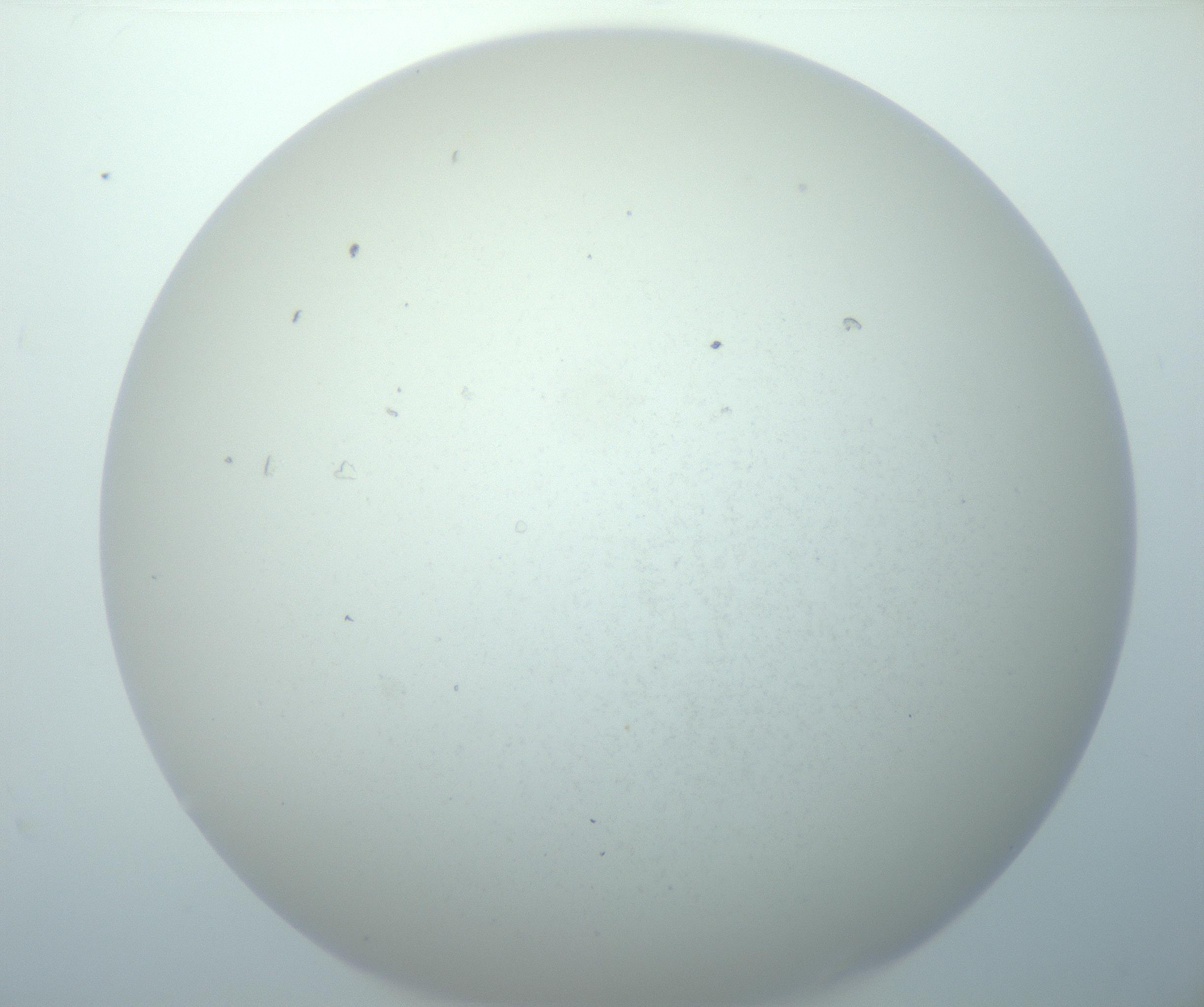RI01_03_000_0212_Proj1_Clon1_MC_0000MC103014_003_161122_03_04_02_00_99_002_001_RAI.jpg