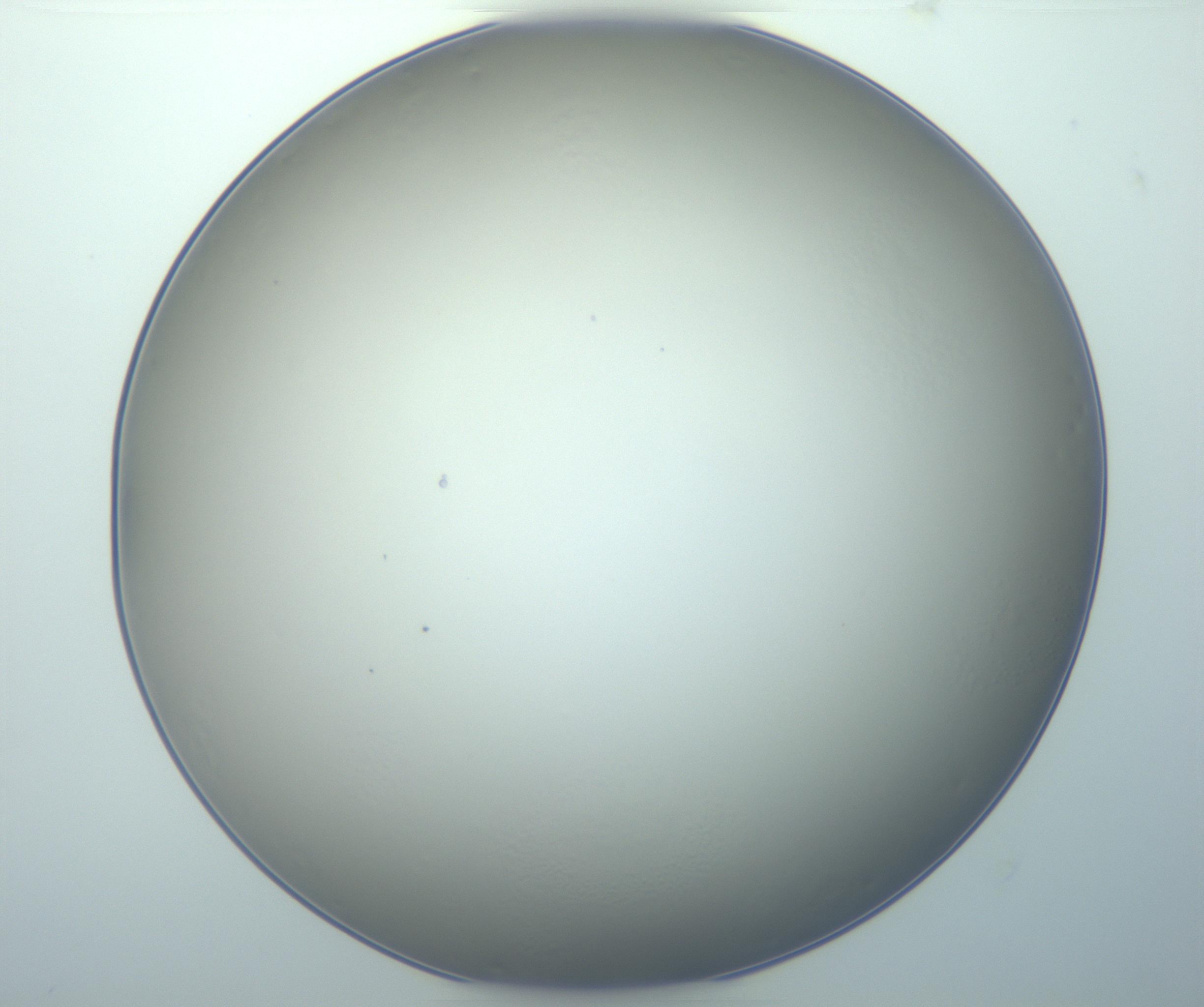 RI01_03_000_0212_Proj1_Clon1_MC_0000MC103014_003_161122_03_05_01_00_99_002_001_RAI.jpg
