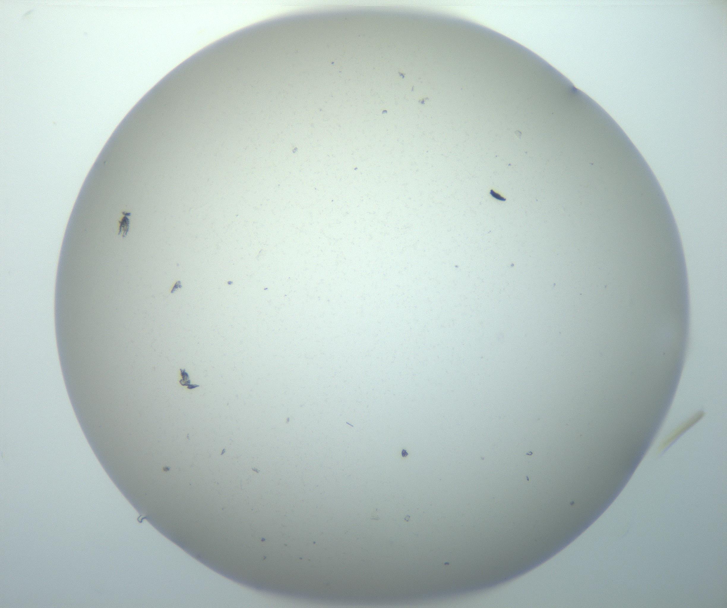 RI01_03_000_0212_Proj1_Clon1_MC_0000MC103014_003_161122_03_06_02_00_99_002_001_RAI.jpg