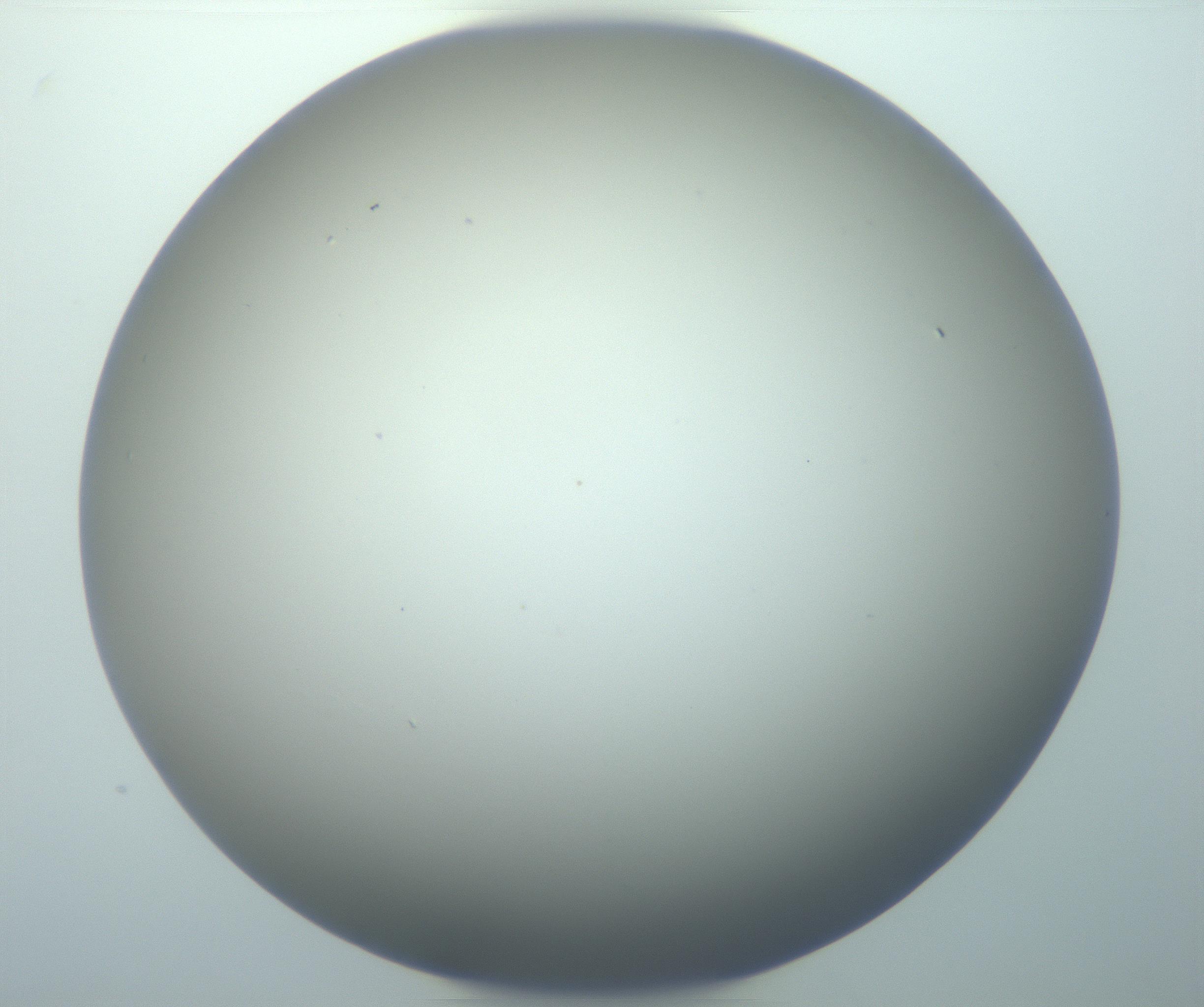 RI01_03_000_0212_Proj1_Clon1_MC_0000MC103014_003_161122_03_07_01_00_99_002_001_RAI.jpg