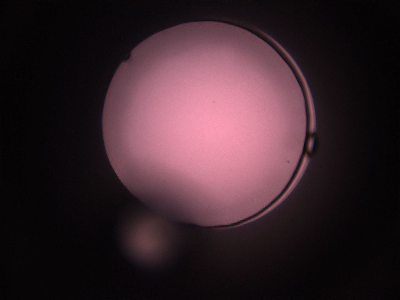 05i4_N8_ImagerDefaults_1.jpg