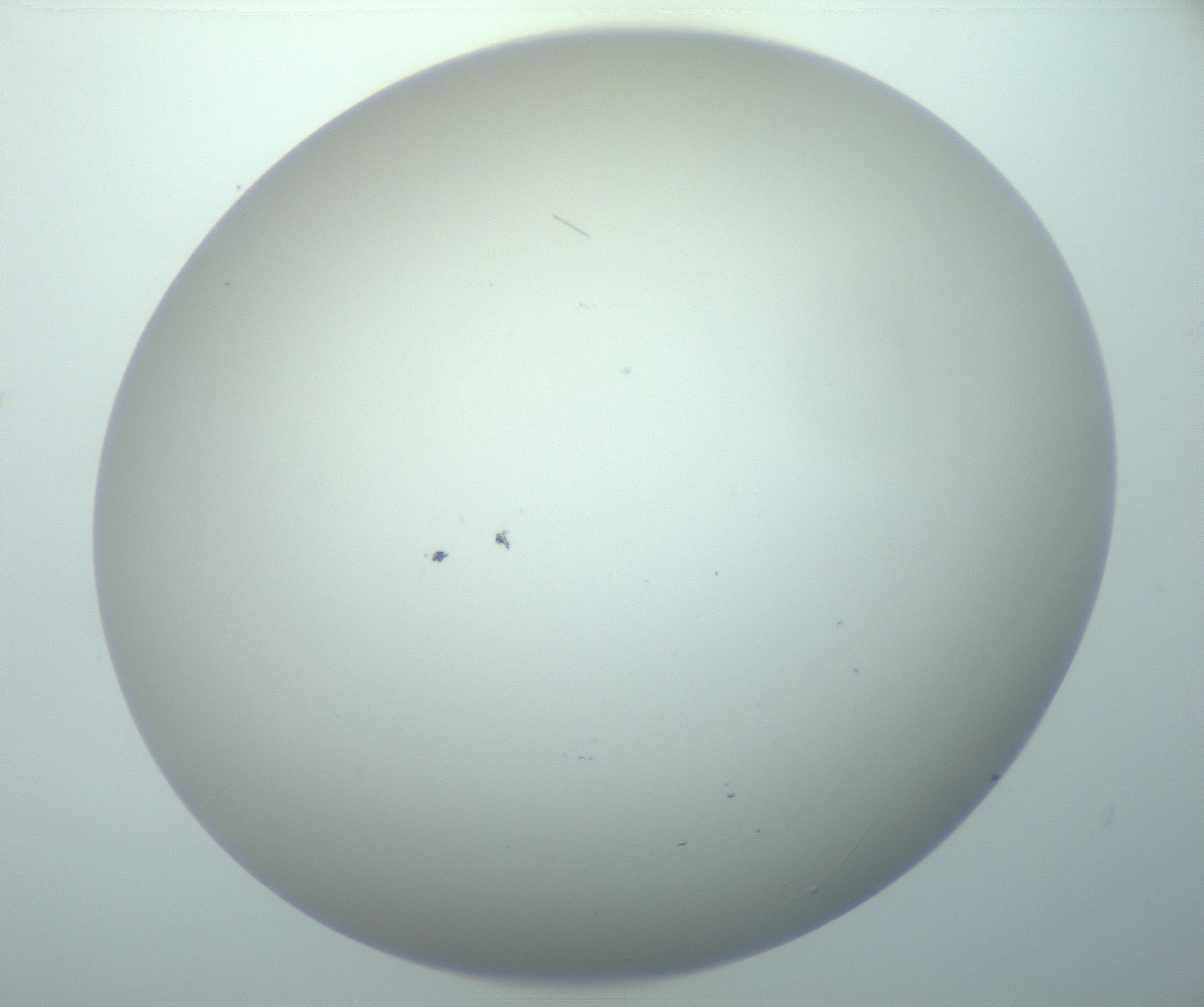 RI01_03_000_0212_Proj1_Clon1_MC_0000MC103014_003_161122_03_07_02_00_99_002_001_RAI.jpg