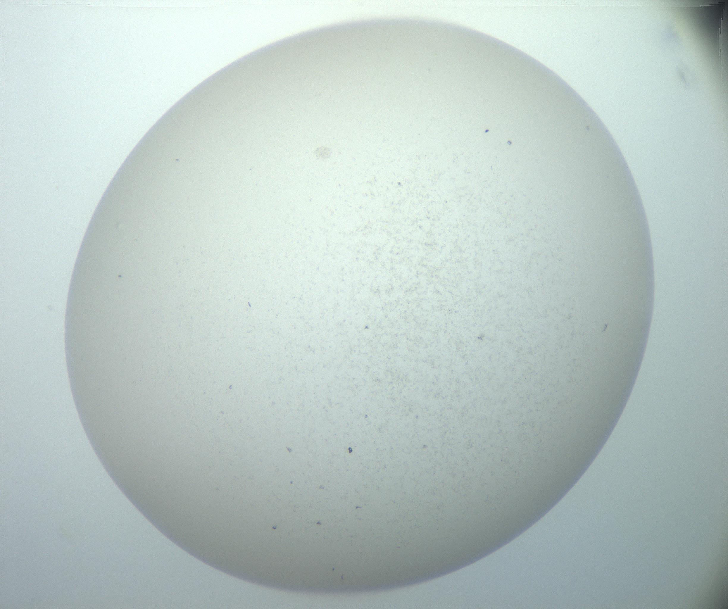 RI01_03_000_0212_Proj1_Clon1_MC_0000MC103014_003_161122_04_08_02_00_99_002_001_RAI.jpg