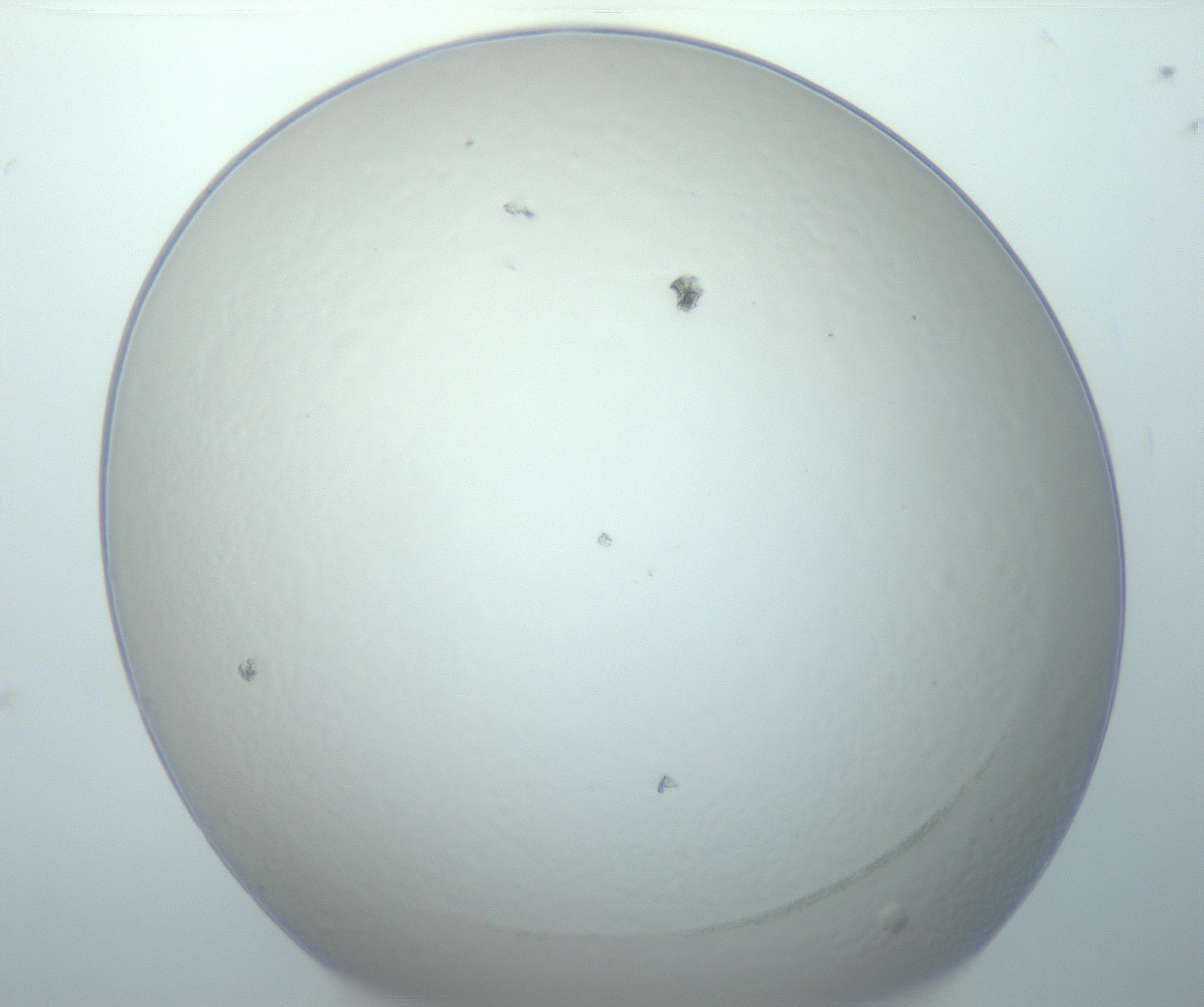 RI01_03_000_0212_Proj1_Clon1_MC_0000MC103014_003_161122_05_01_01_00_99_002_001_RAI.jpg