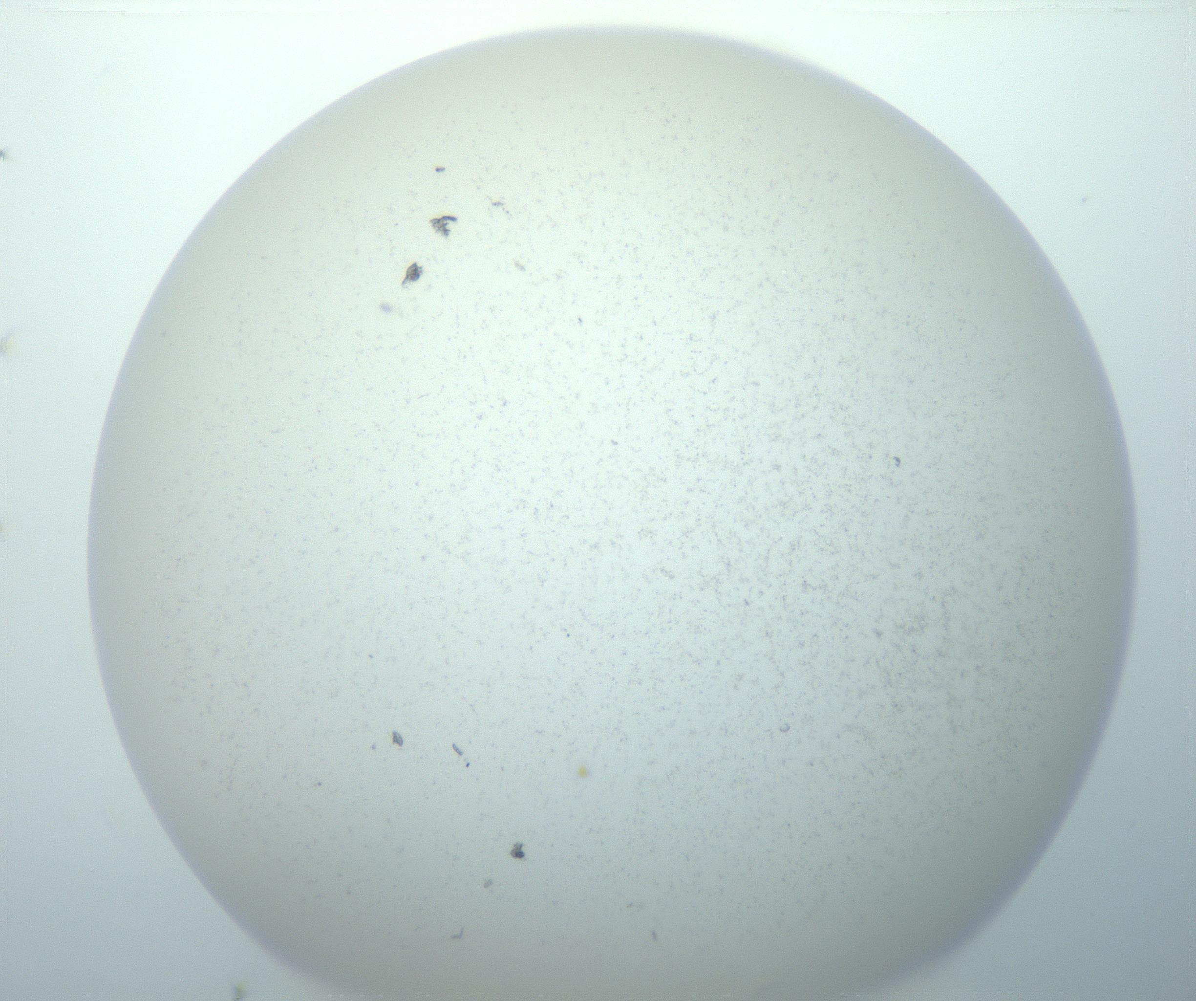 RI01_03_000_0212_Proj1_Clon1_MC_0000MC103014_003_161122_05_01_02_00_99_002_001_RAI.jpg
