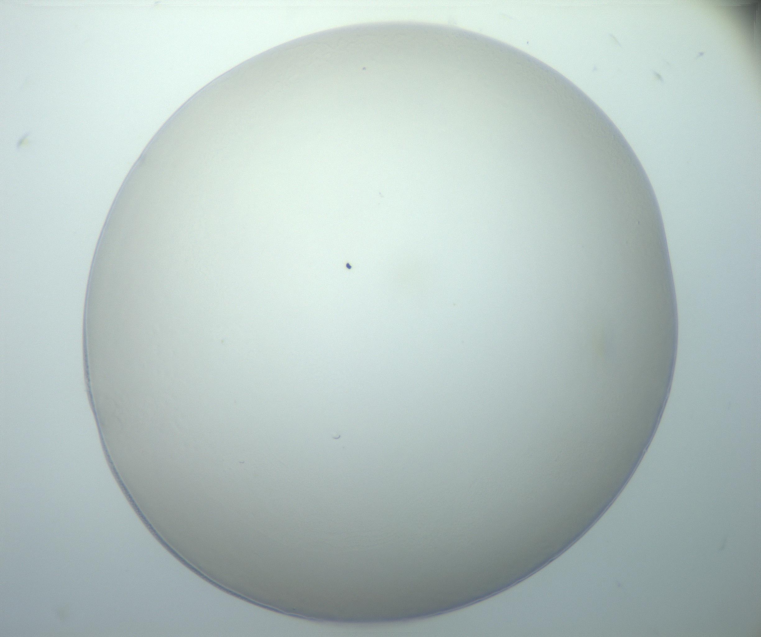 RI01_03_000_0212_Proj1_Clon1_MC_0000MC103014_003_161122_05_08_01_00_99_002_001_RAI.jpg