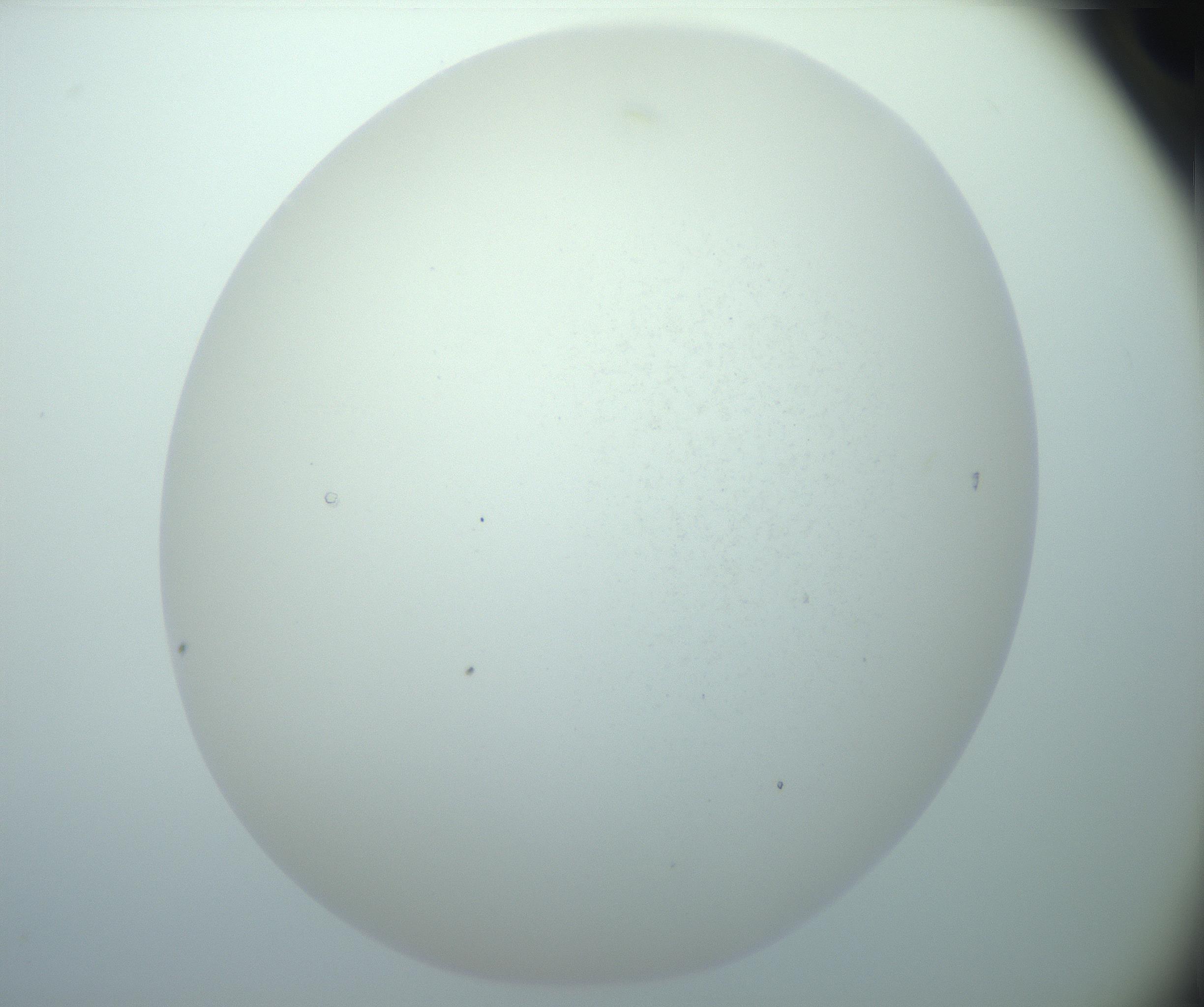 RI01_03_000_0212_Proj1_Clon1_MC_0000MC103014_003_161122_05_08_02_00_99_002_001_RAI.jpg