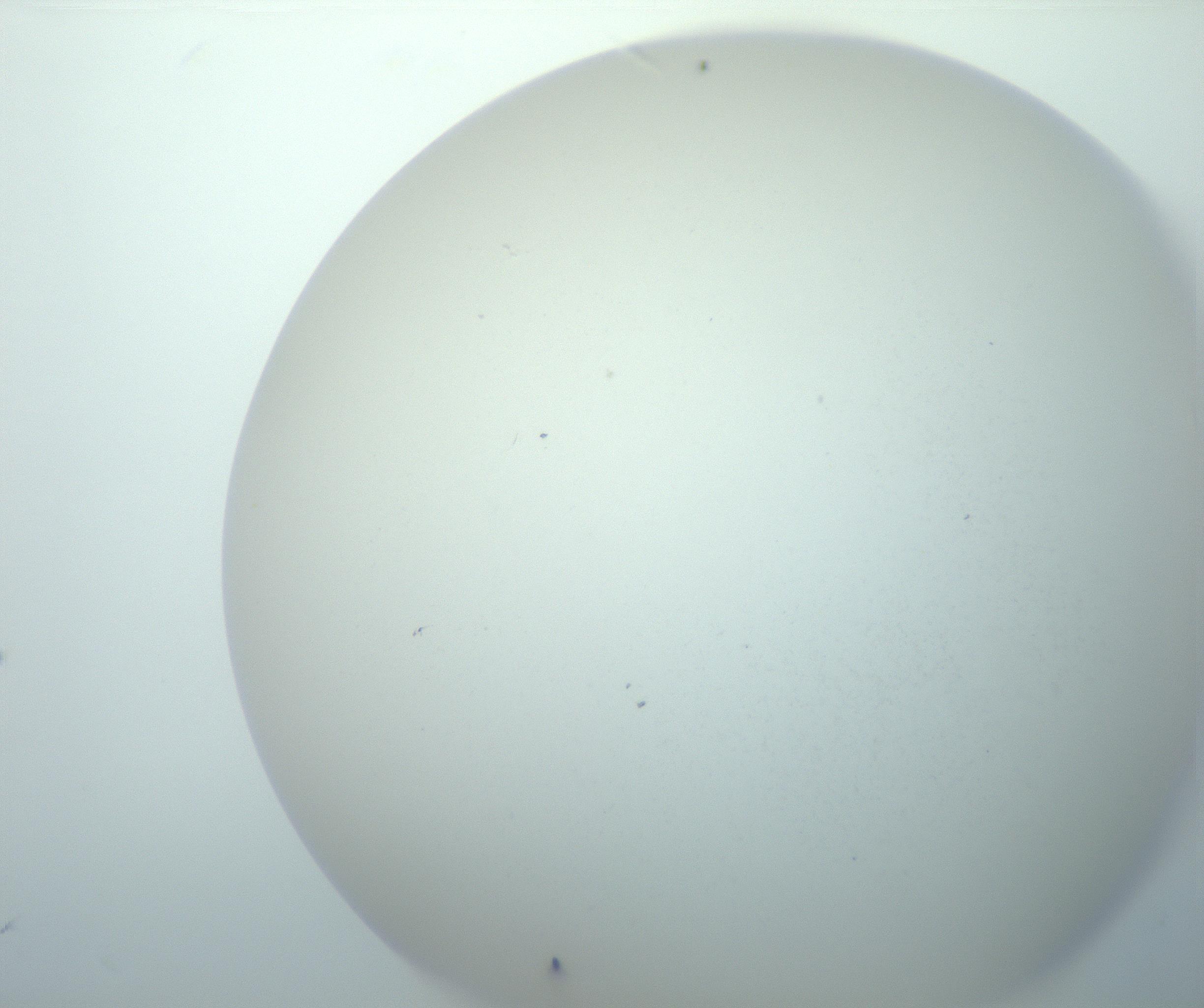 RI01_03_000_0212_Proj1_Clon1_MC_0000MC103014_003_161122_06_02_02_00_99_002_001_RAI.jpg