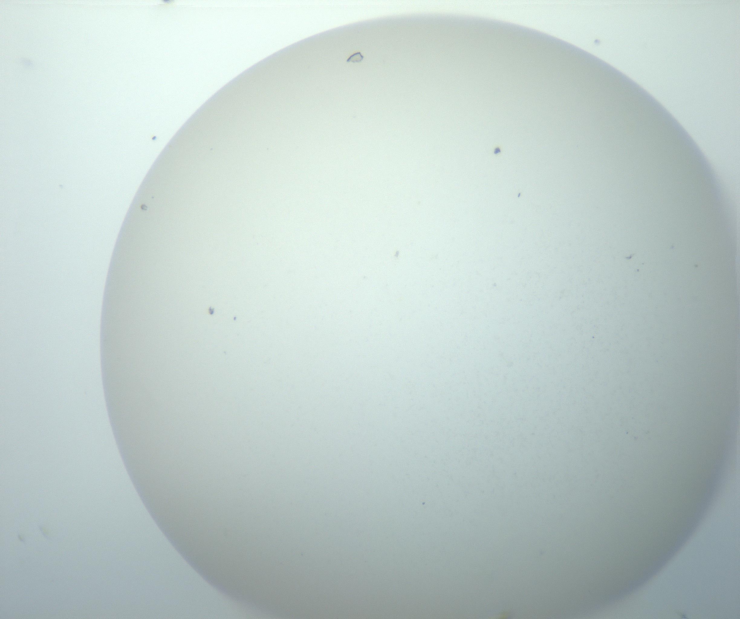 RI01_03_000_0212_Proj1_Clon1_MC_0000MC103014_003_161122_06_03_02_00_99_002_001_RAI.jpg