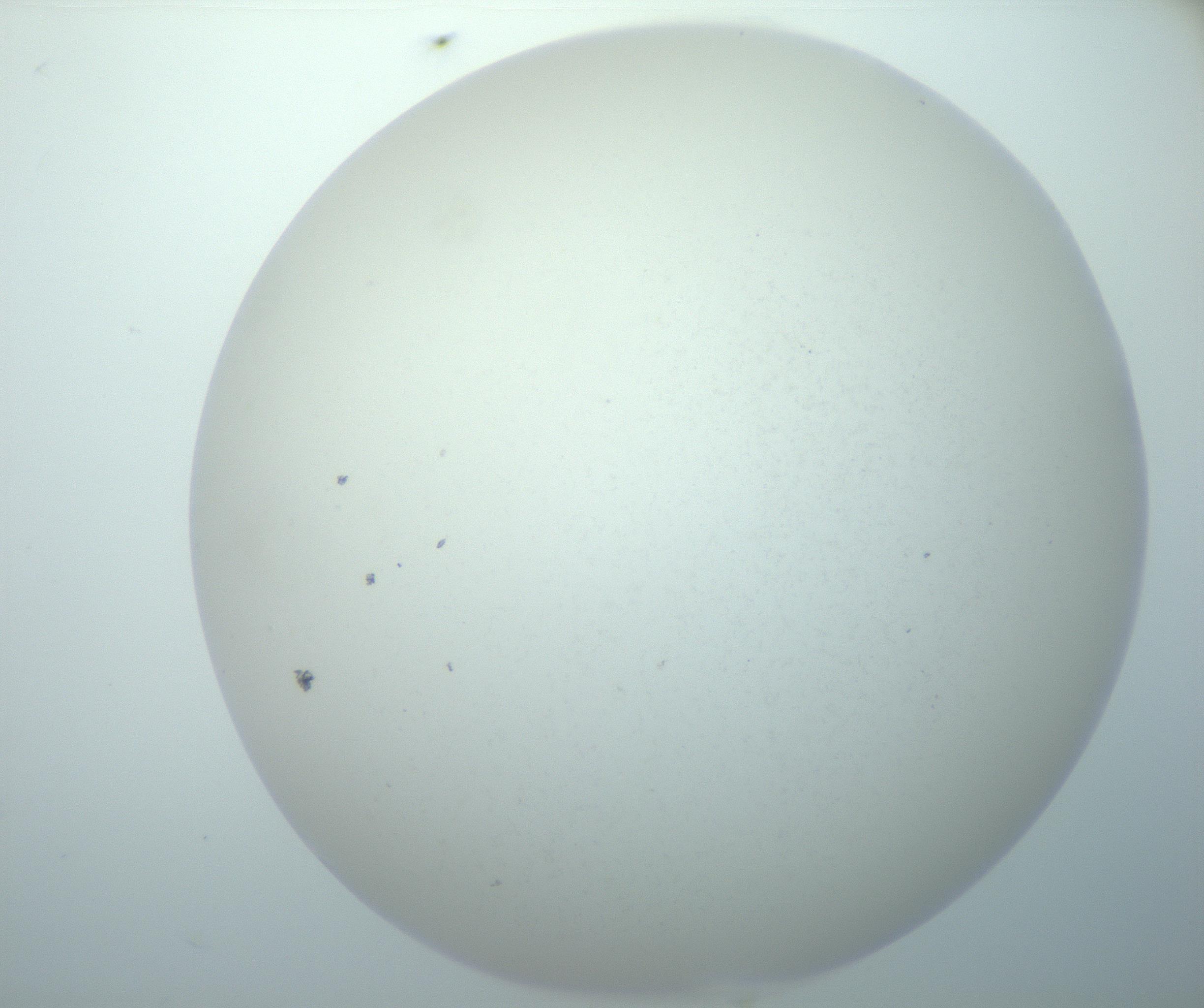 RI01_03_000_0212_Proj1_Clon1_MC_0000MC103014_003_161122_06_04_02_00_99_002_001_RAI.jpg