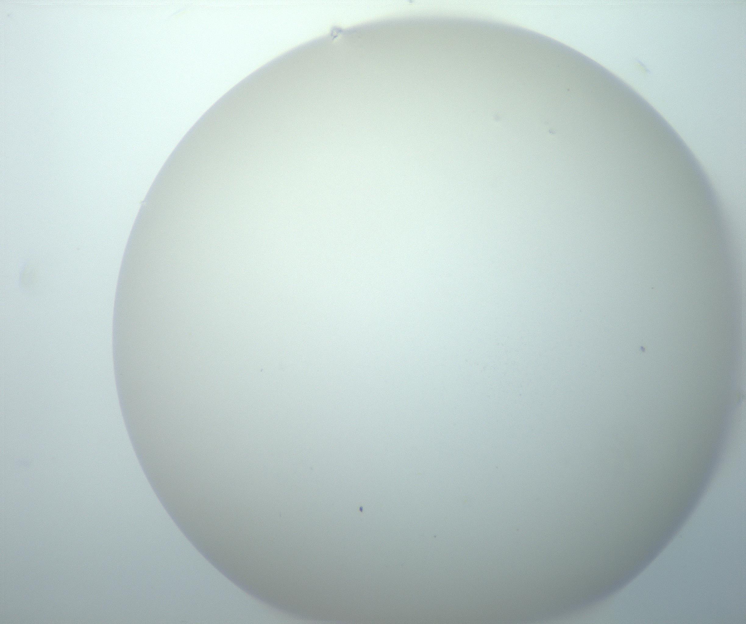 RI01_03_000_0212_Proj1_Clon1_MC_0000MC103014_003_161122_06_06_02_00_99_002_001_RAI.jpg