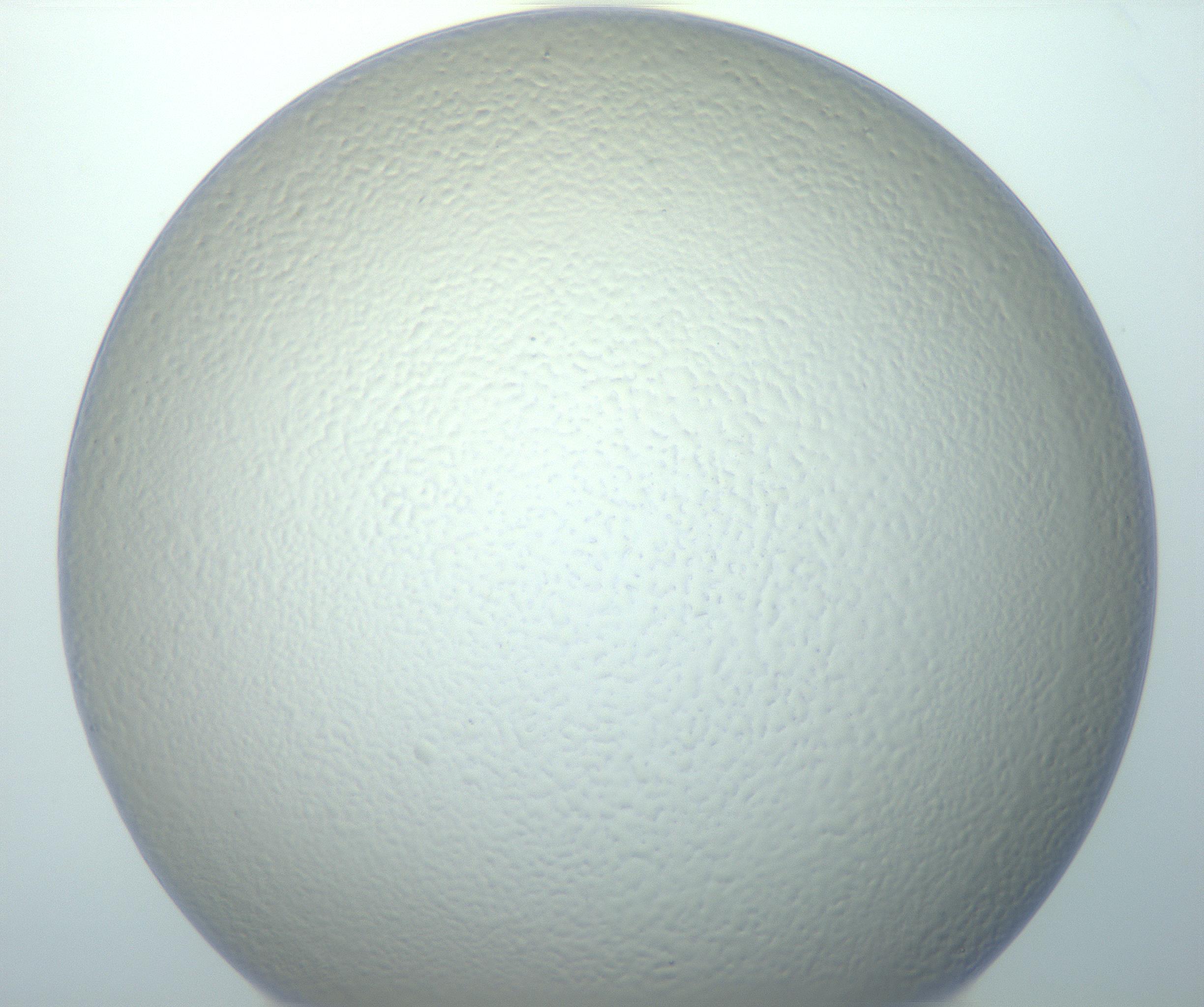 RI01_03_000_0212_Proj1_Clon1_MC_0000MC103014_003_161122_07_05_01_00_99_002_001_RAI.jpg
