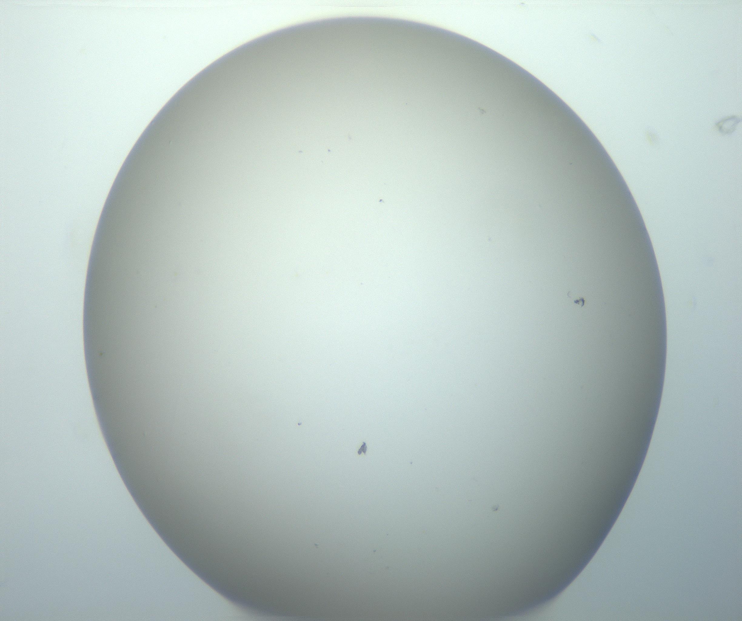 RI01_03_000_0212_Proj1_Clon1_MC_0000MC103014_003_161122_08_01_02_00_99_002_001_RAI.jpg