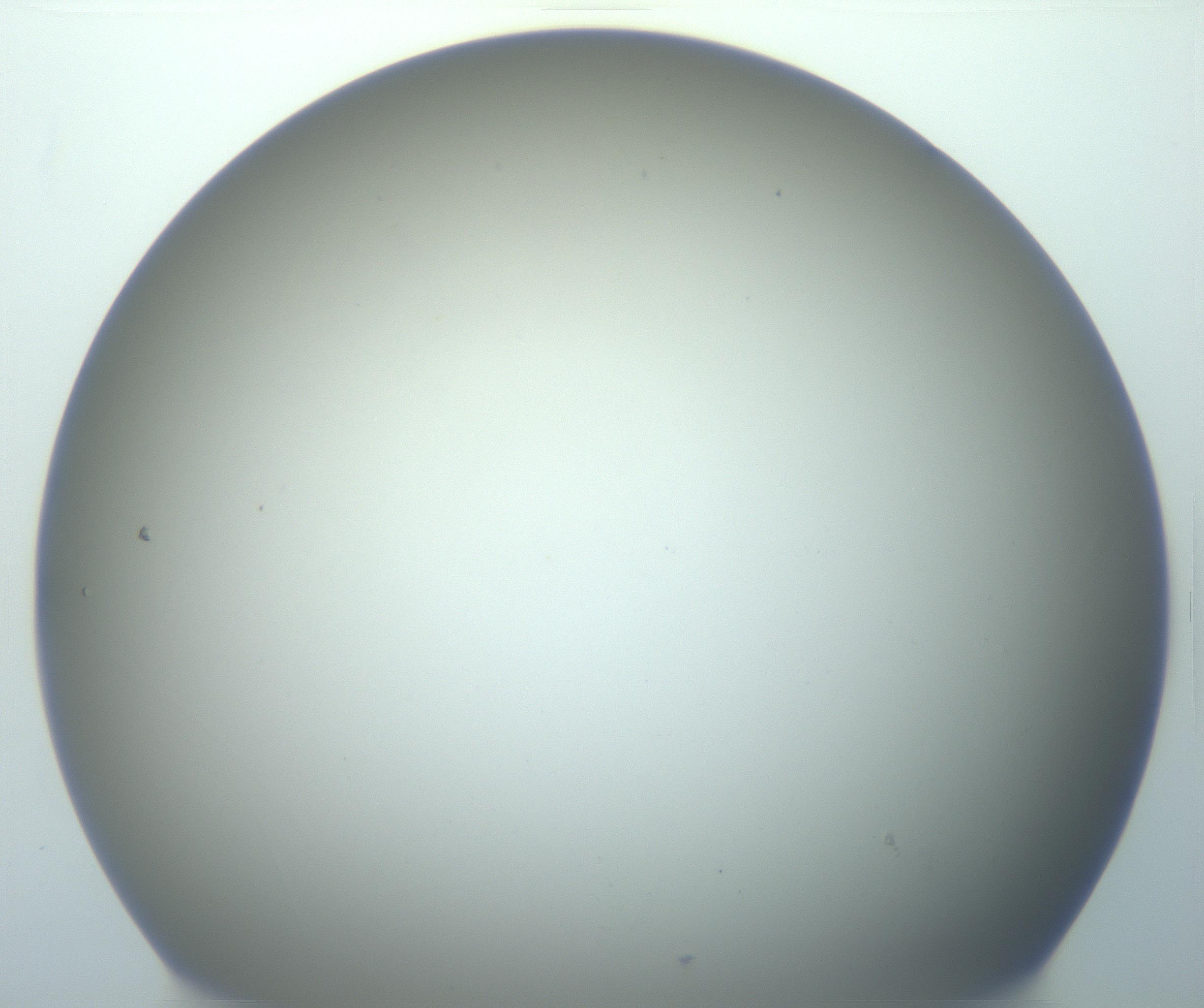 RI01_03_000_0212_Proj1_Clon1_MC_0000MC103014_003_161122_08_02_02_00_99_002_001_RAI.jpg