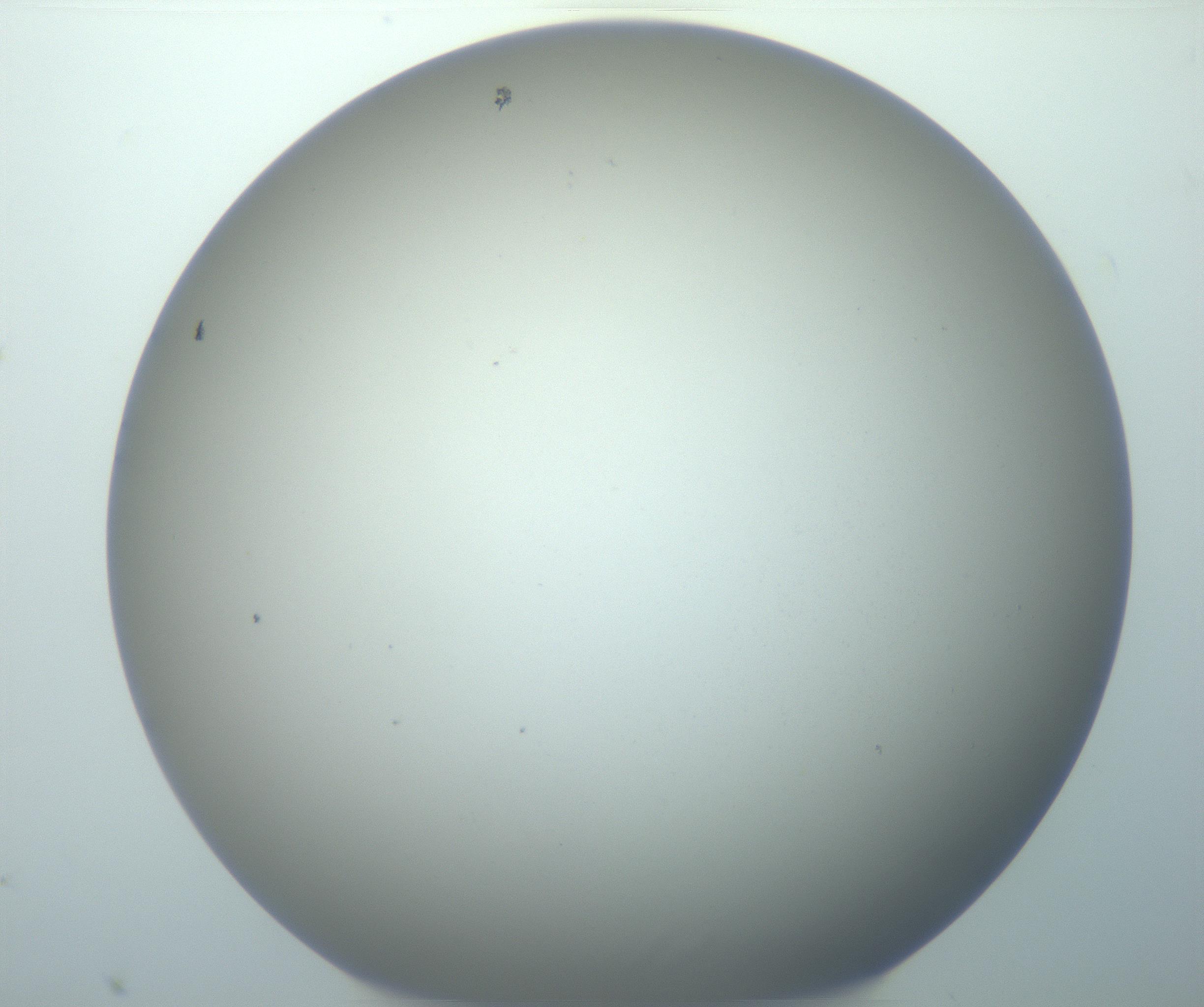 RI01_03_000_0212_Proj1_Clon1_MC_0000MC103014_003_161122_08_03_02_00_99_002_001_RAI.jpg
