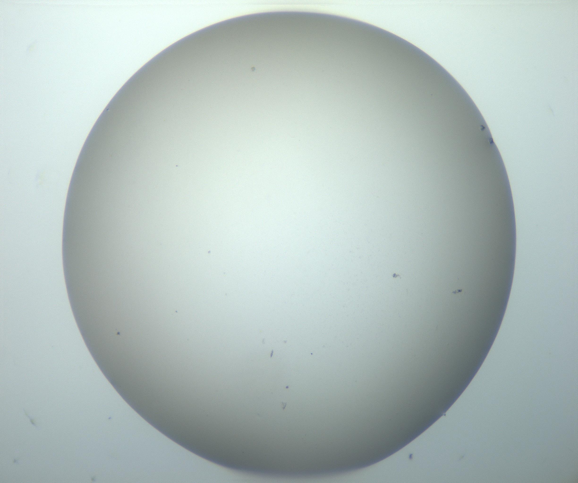 RI01_03_000_0212_Proj1_Clon1_MC_0000MC103014_003_161122_08_04_02_00_99_002_001_RAI.jpg