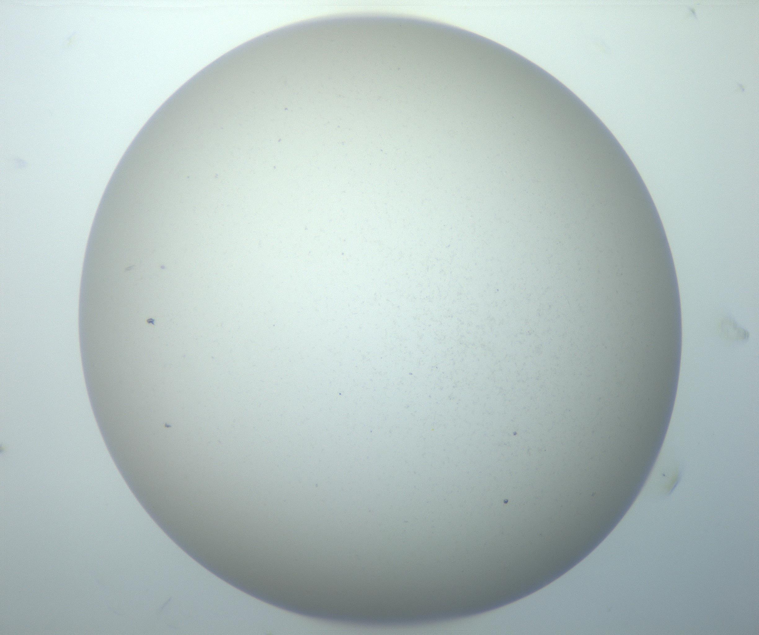 RI01_03_000_0212_Proj1_Clon1_MC_0000MC103014_003_161122_08_05_02_00_99_002_001_RAI.jpg