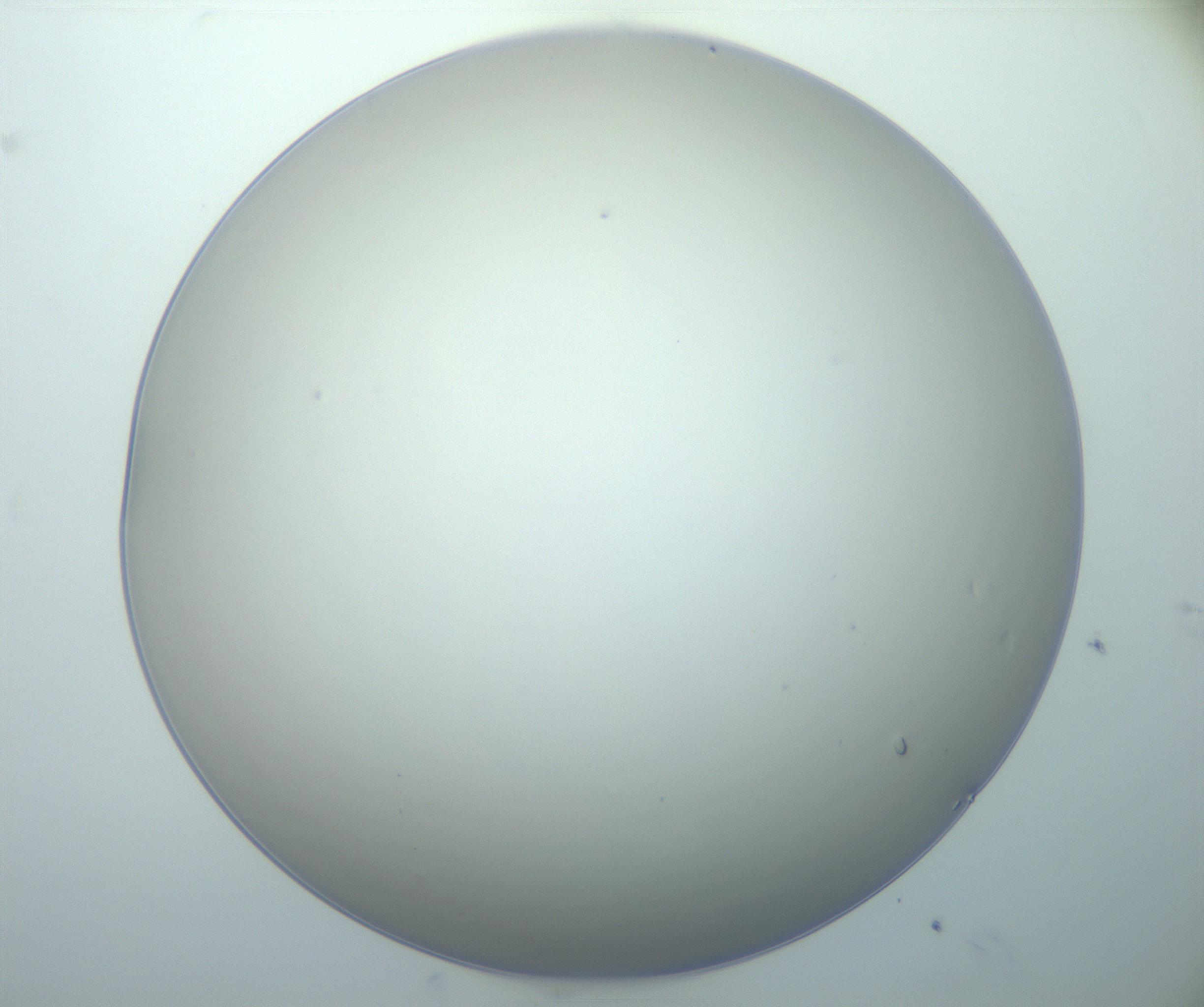 RI01_03_000_0212_Proj1_Clon1_MC_0000MC103014_003_161122_08_07_01_00_99_002_001_RAI.jpg