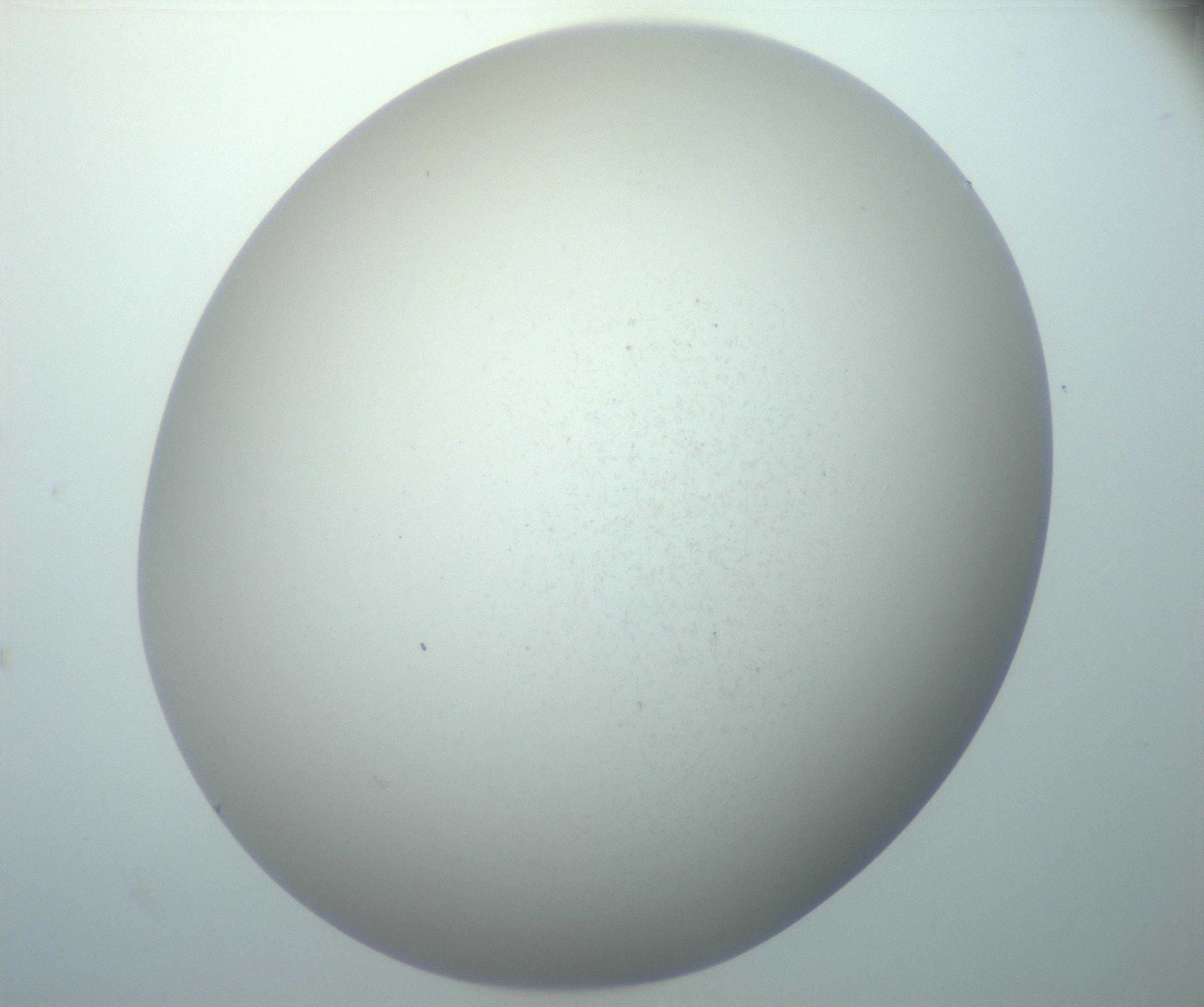 RI01_03_000_0212_Proj1_Clon1_MC_0000MC103014_003_161122_08_08_02_00_99_002_001_RAI.jpg