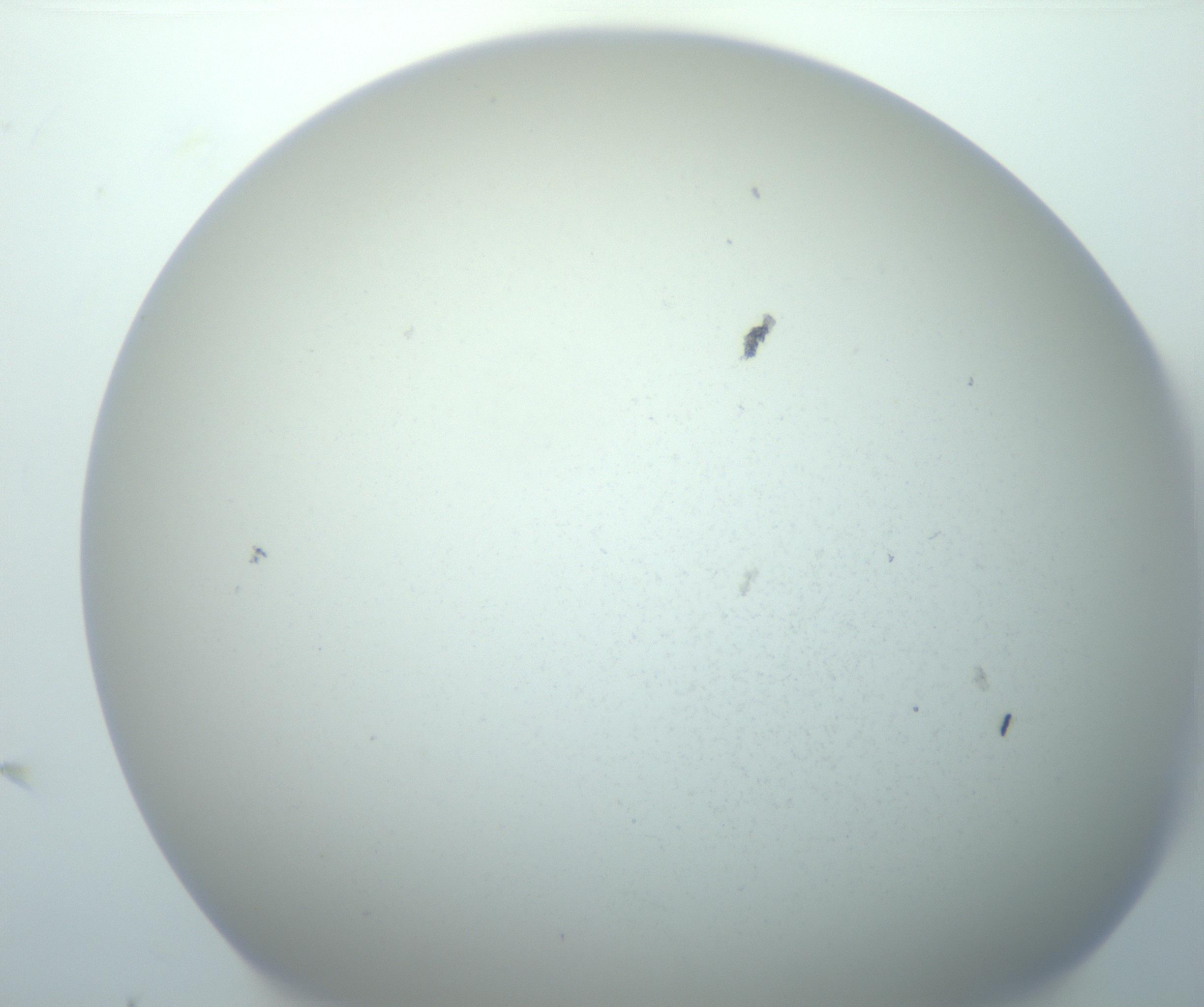 RI01_03_000_0212_Proj1_Clon1_MC_0000MC103014_003_161122_09_01_02_00_99_002_001_RAI.jpg