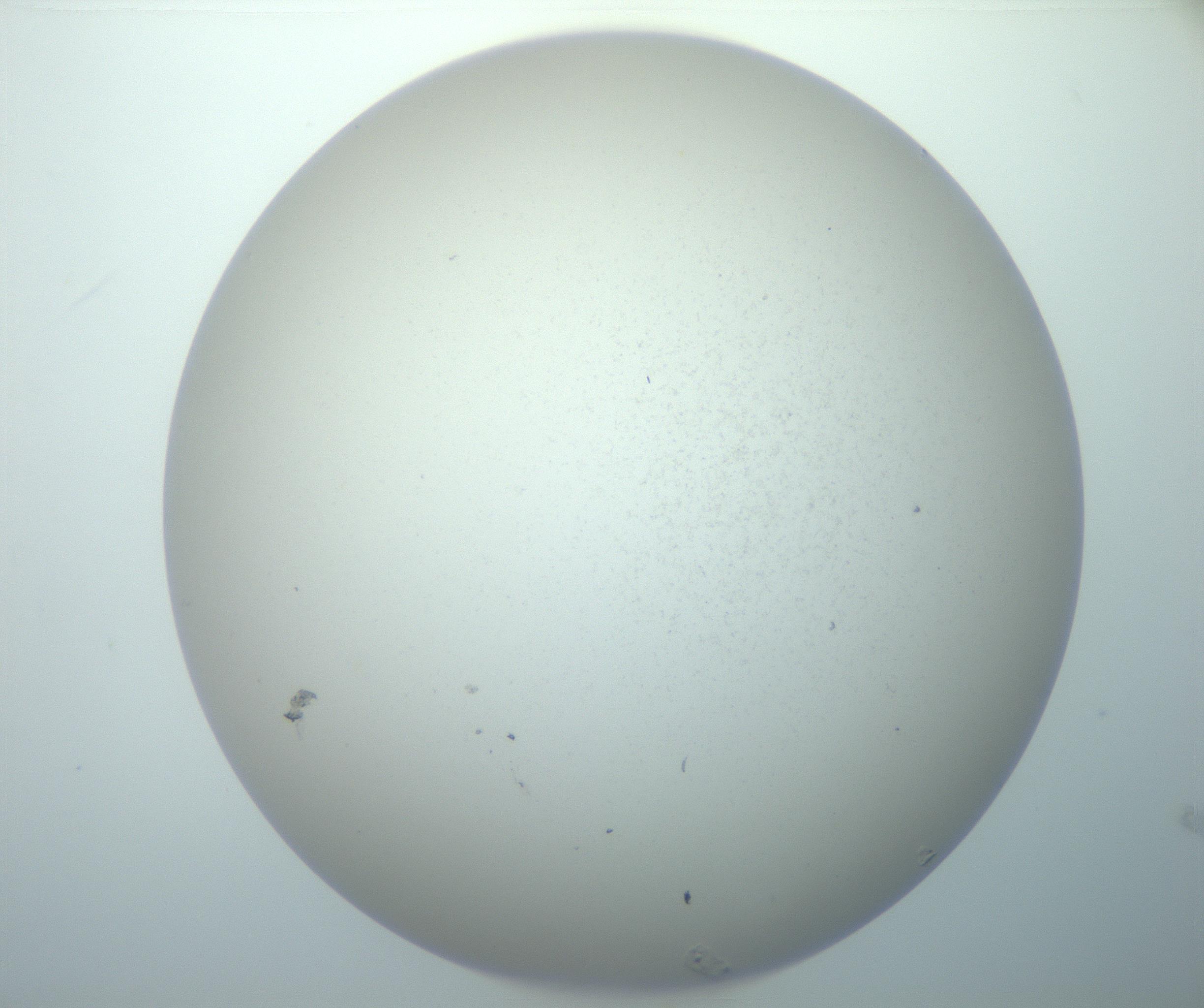RI01_03_000_0212_Proj1_Clon1_MC_0000MC103014_003_161122_09_02_02_00_99_002_001_RAI.jpg