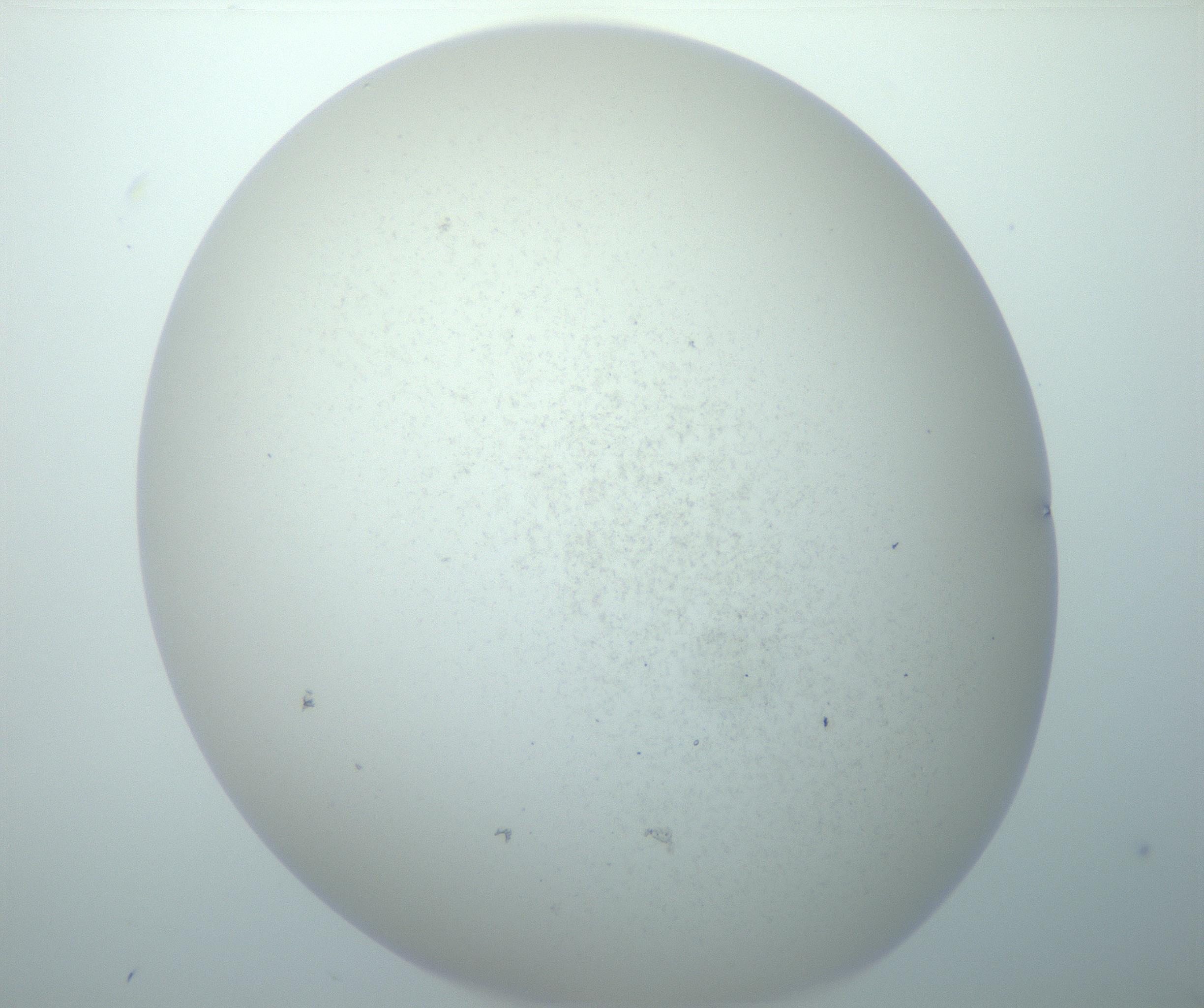 RI01_03_000_0212_Proj1_Clon1_MC_0000MC103014_003_161122_09_04_02_00_99_002_001_RAI.jpg