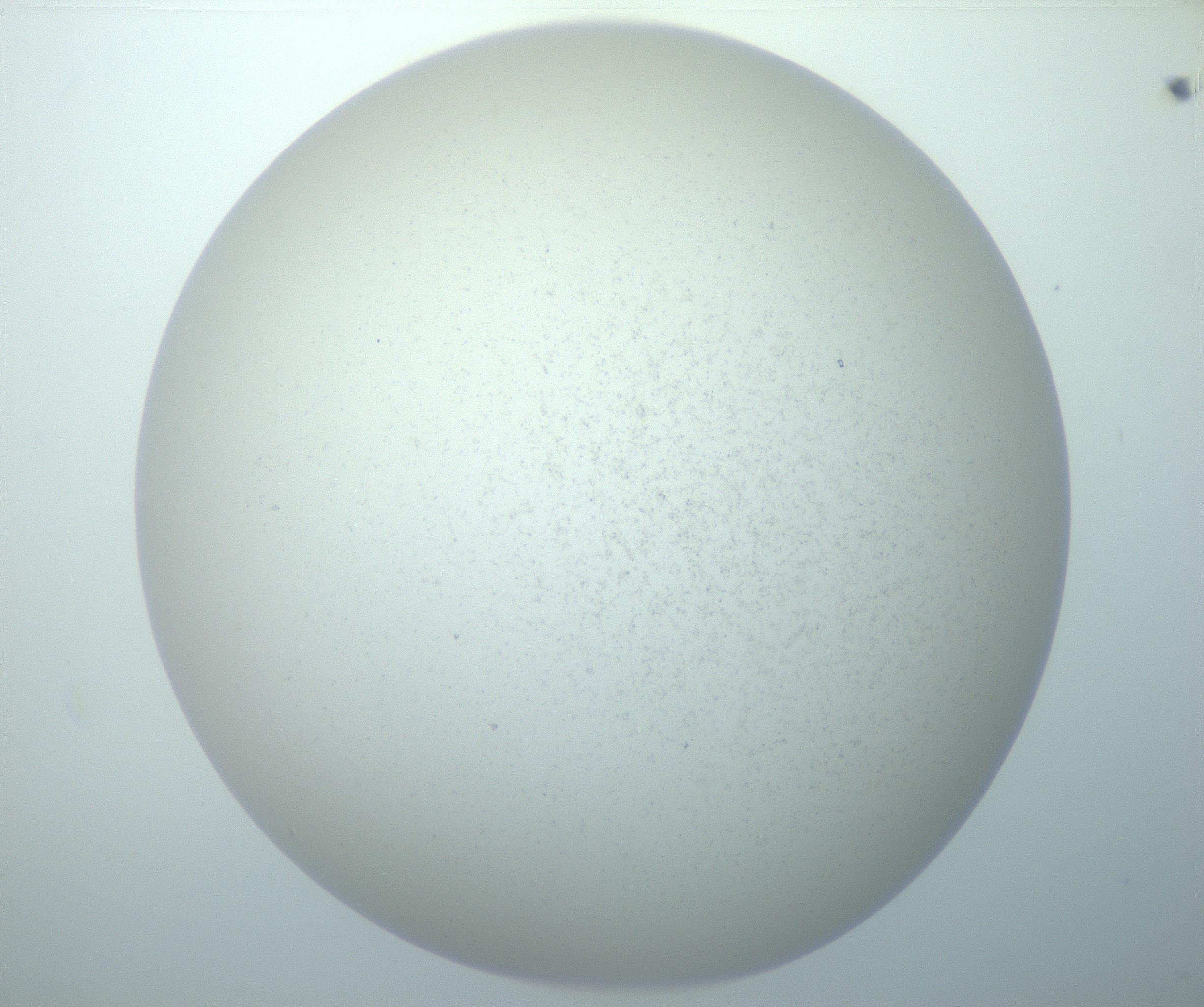 RI01_03_000_0212_Proj1_Clon1_MC_0000MC103014_003_161122_09_05_02_00_99_002_001_RAI.jpg
