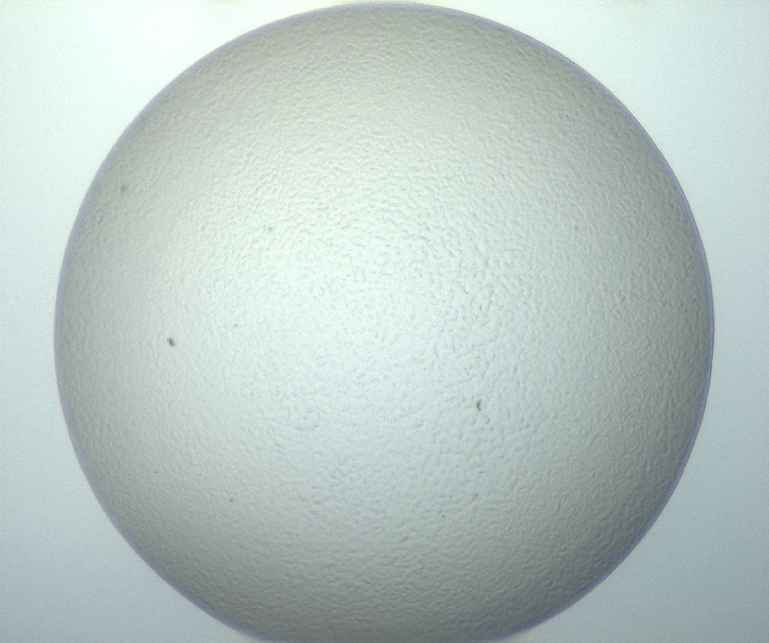 RI01_03_000_0212_Proj1_Clon1_MC_0000MC103014_003_161122_10_05_01_00_99_002_001_RAI.jpg