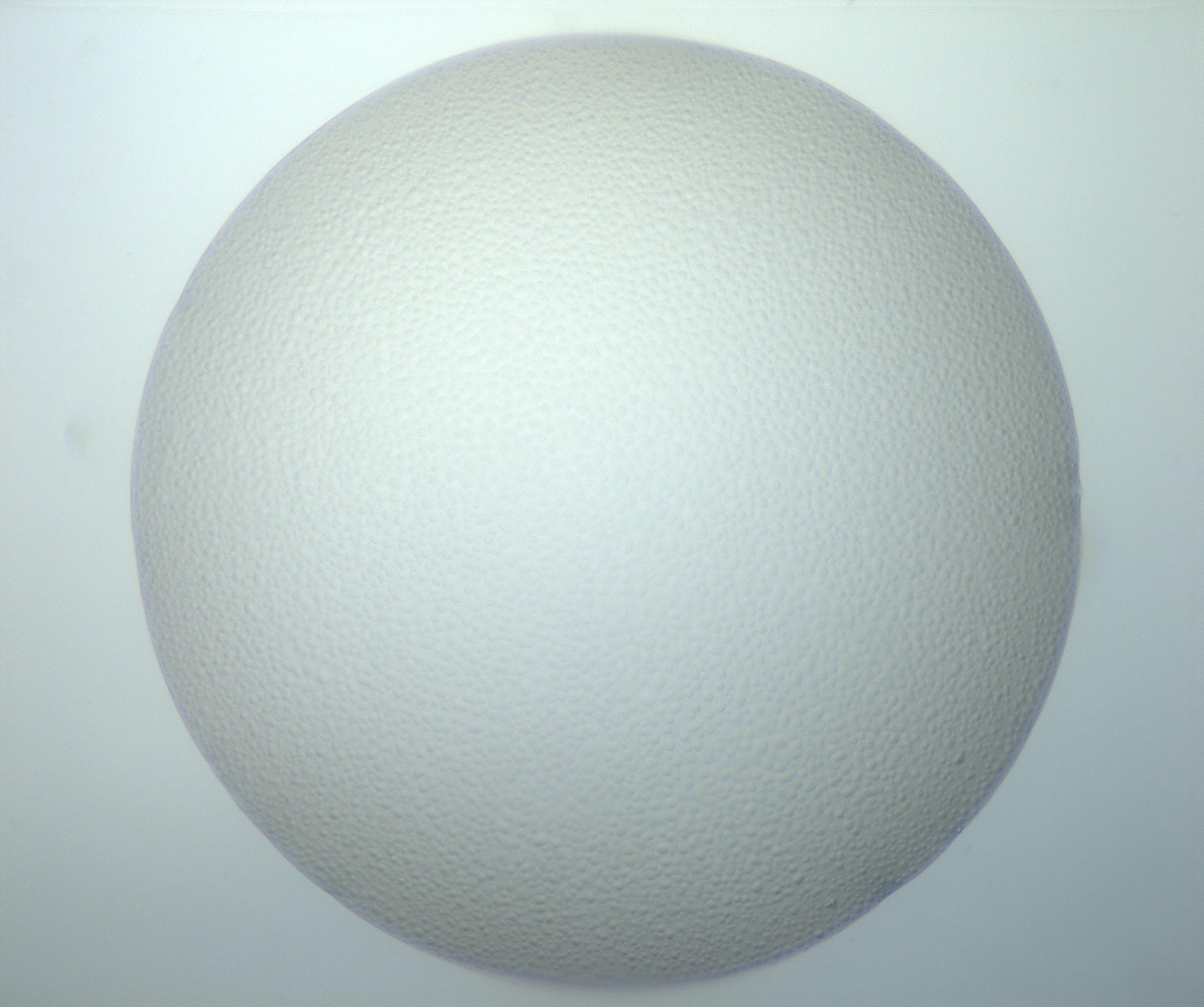 RI01_03_000_0212_Proj1_Clon1_MC_0000MC103014_003_161122_10_07_01_00_99_002_001_RAI.jpg