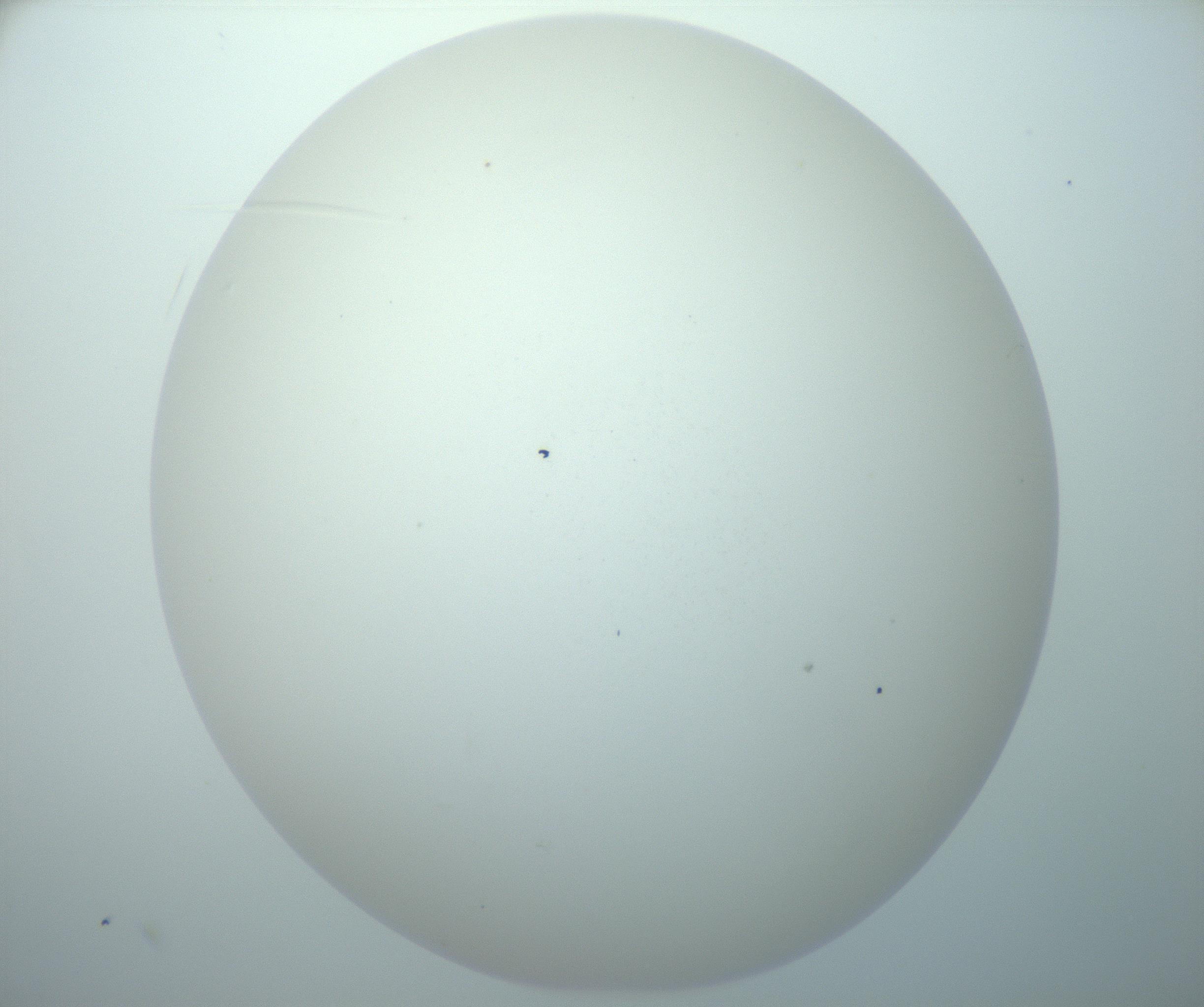 RI01_03_000_0212_Proj1_Clon1_MC_0000MC103014_003_161122_10_07_02_00_99_002_001_RAI.jpg