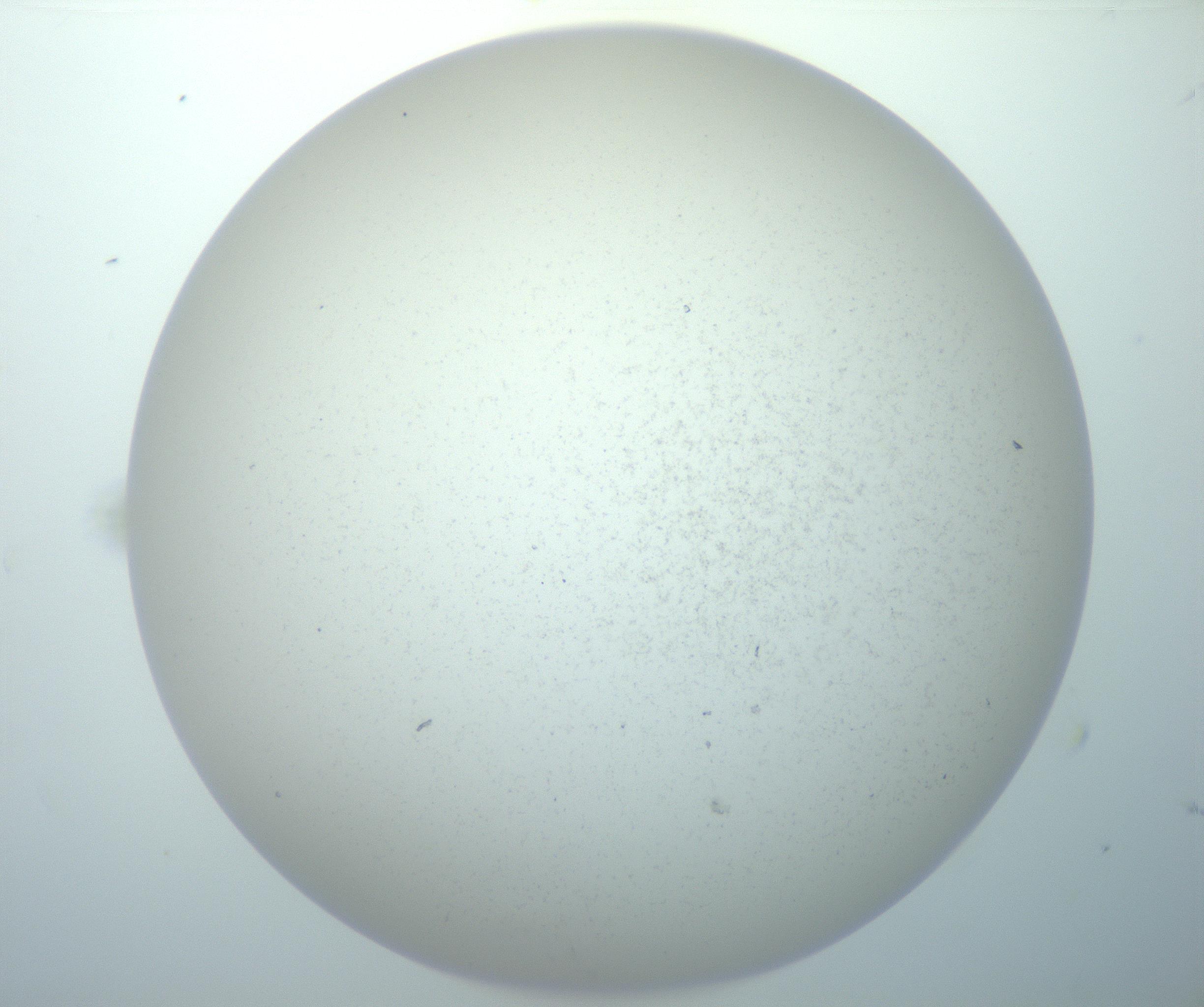 RI01_03_000_0212_Proj1_Clon1_MC_0000MC103014_003_161122_11_01_02_00_99_002_001_RAI.jpg