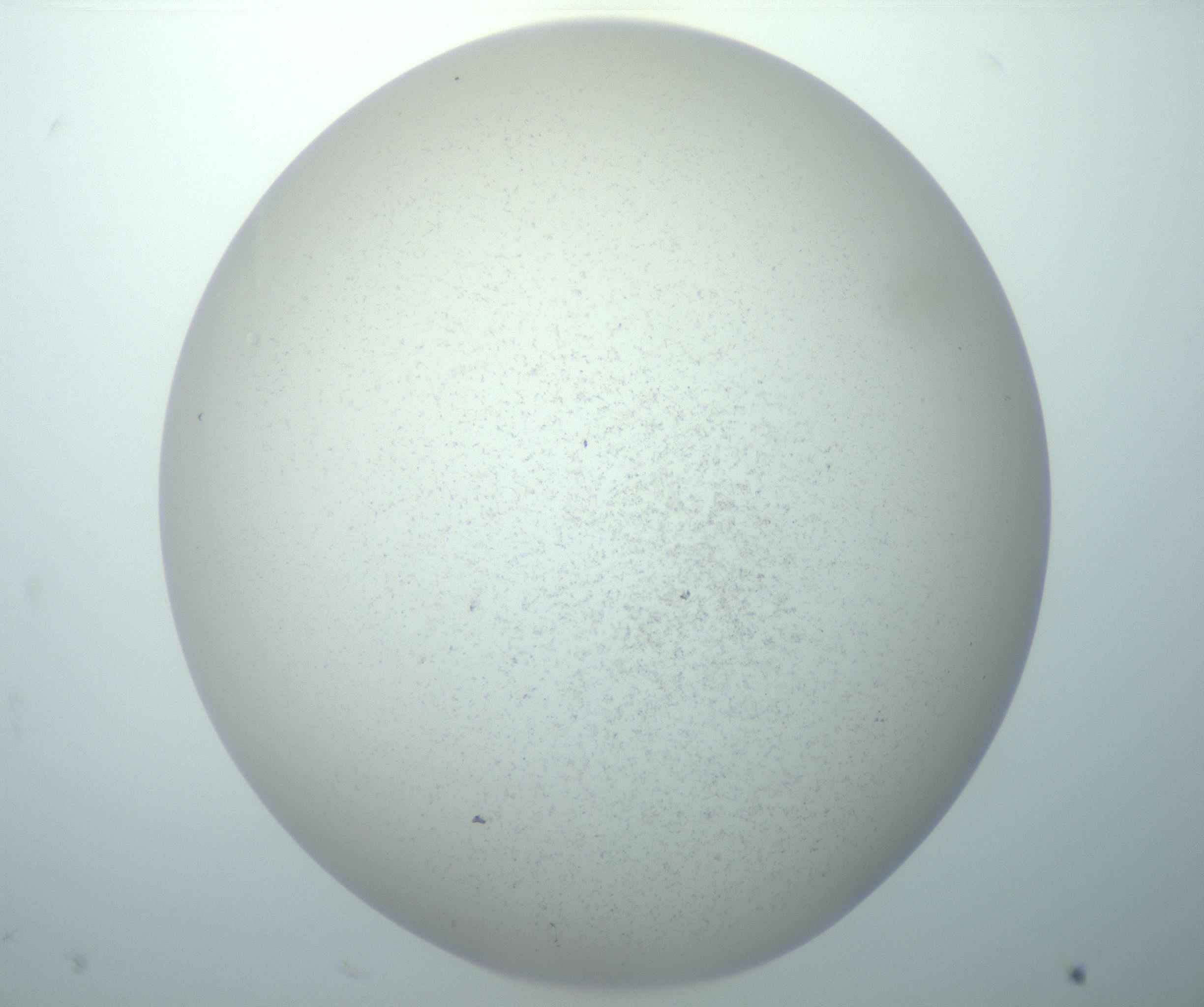 RI01_03_000_0212_Proj1_Clon1_MC_0000MC103014_003_161122_11_02_02_00_99_002_001_RAI.jpg