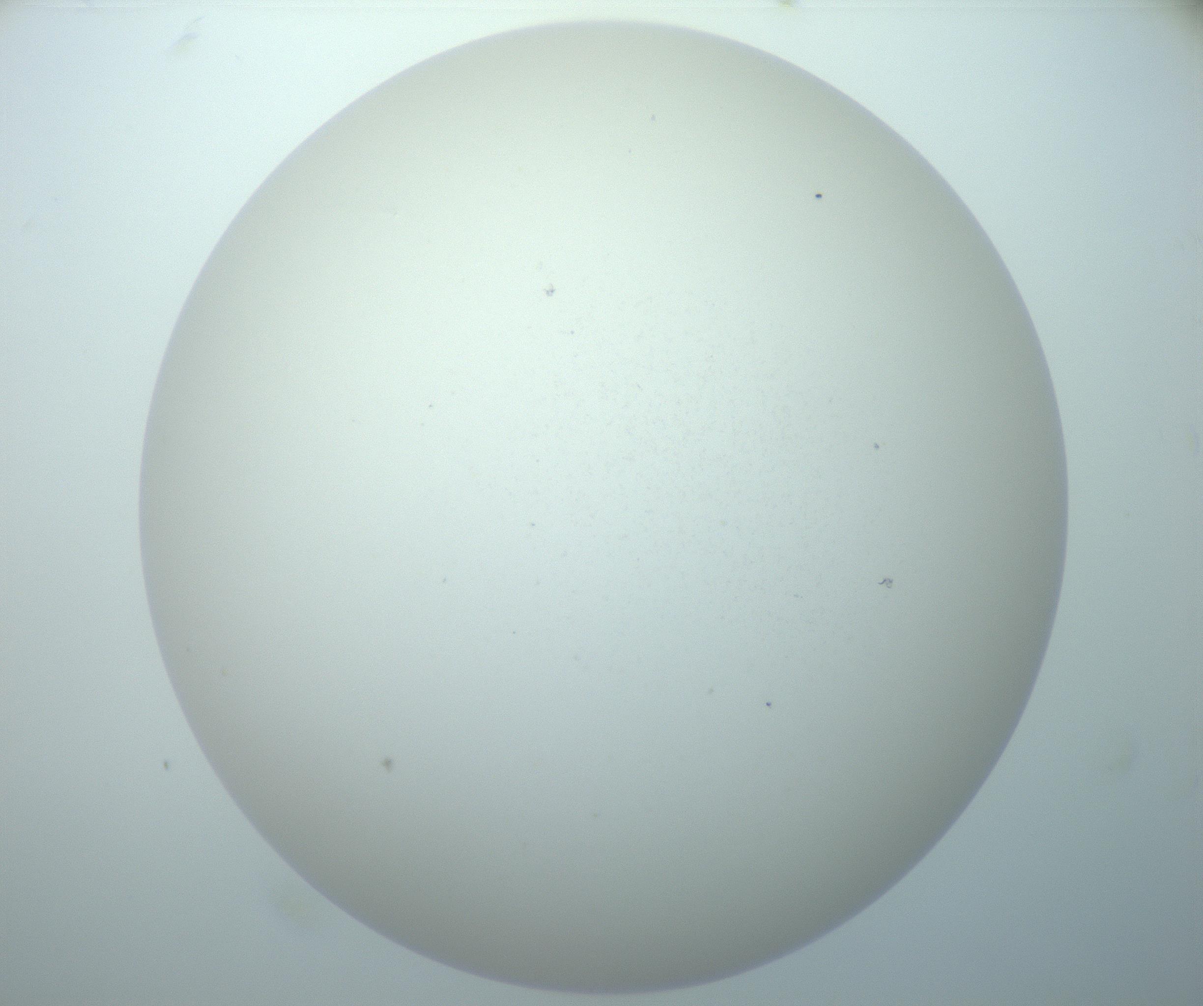 RI01_03_000_0212_Proj1_Clon1_MC_0000MC103014_003_161122_11_07_02_00_99_002_001_RAI.jpg