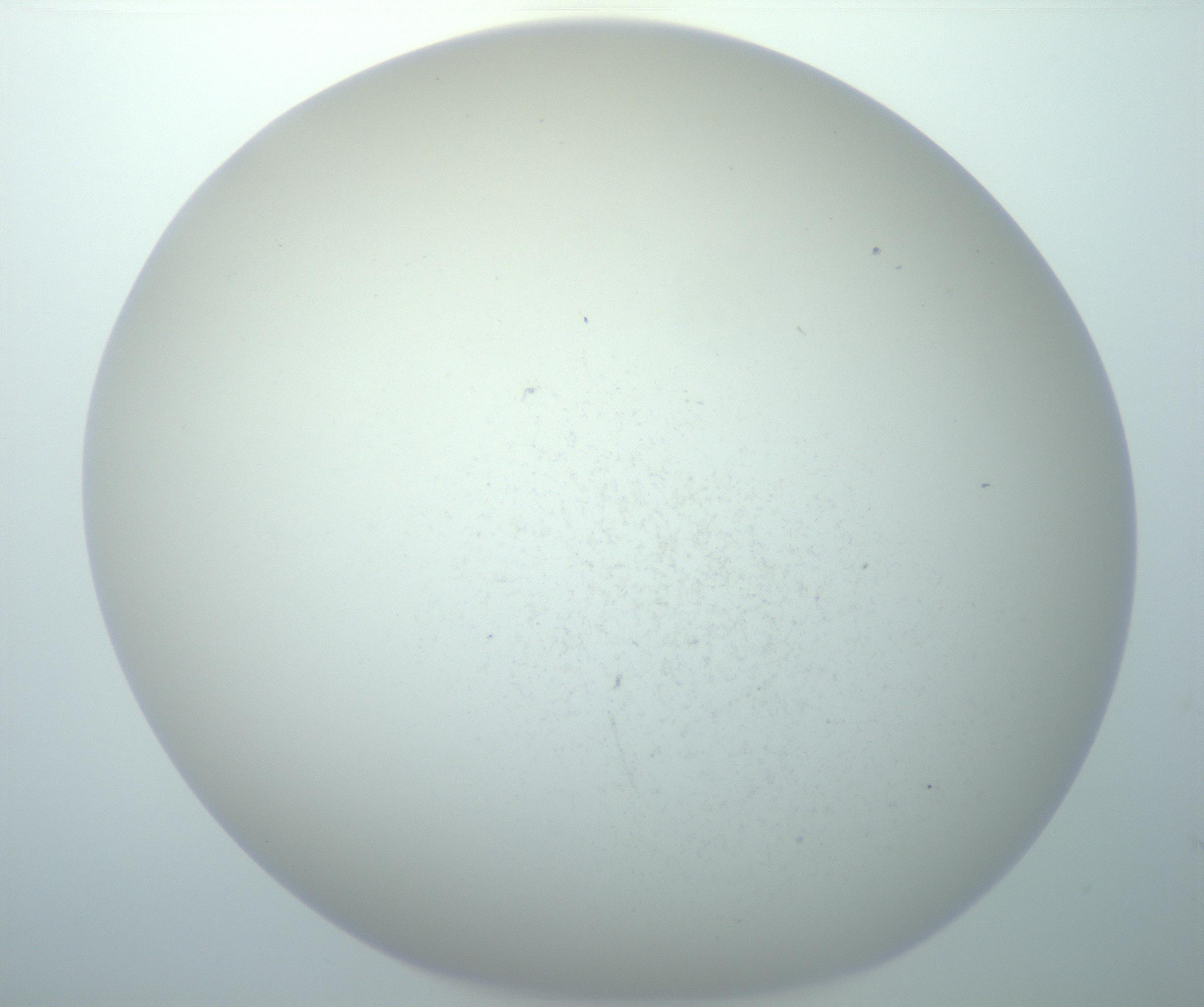 RI01_03_000_0212_Proj1_Clon1_MC_0000MC103014_003_161122_12_01_02_00_99_002_001_RAI.jpg