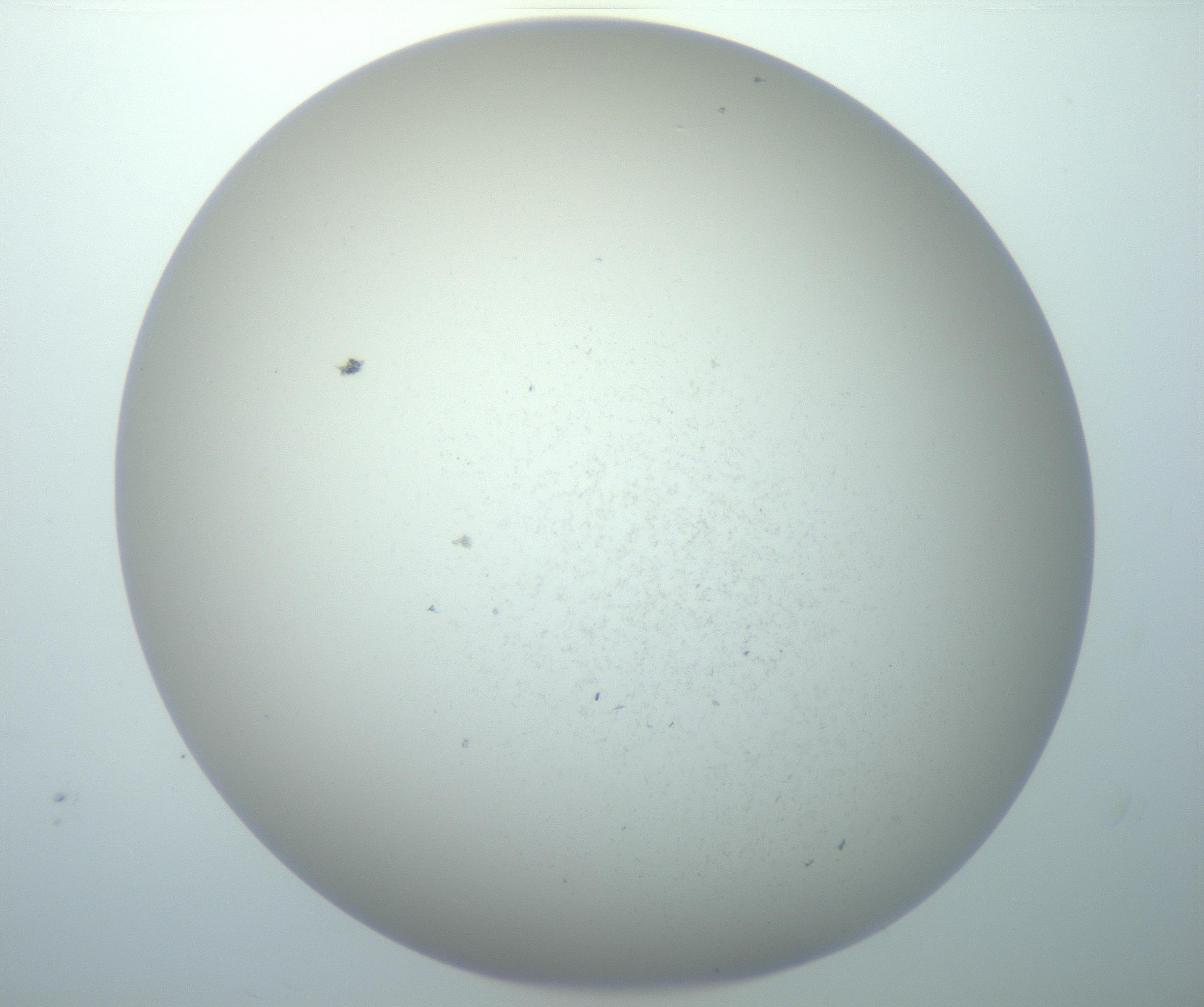 RI01_03_000_0212_Proj1_Clon1_MC_0000MC103014_003_161122_12_02_02_00_99_002_001_RAI.jpg