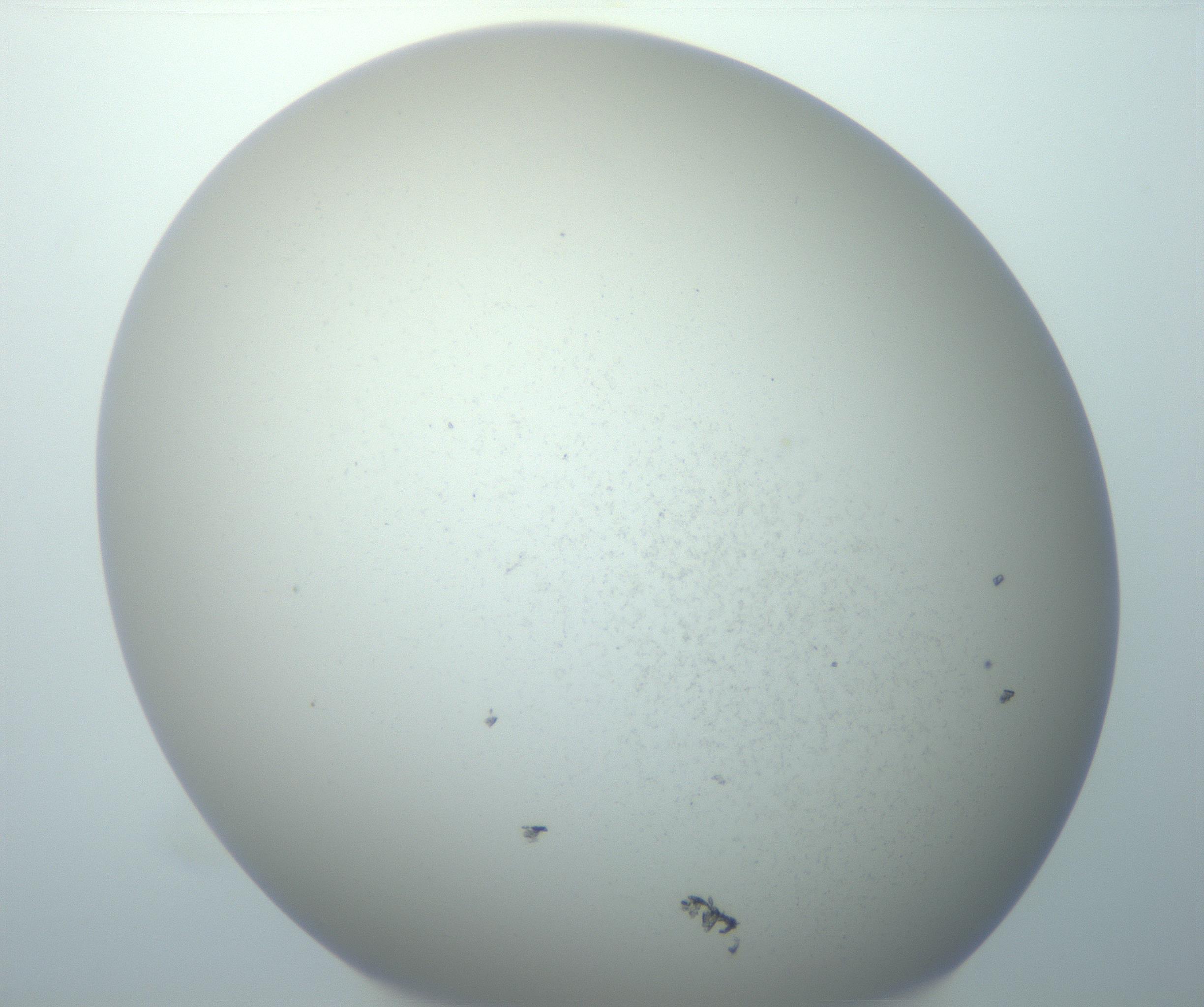 RI01_03_000_0212_Proj1_Clon1_MC_0000MC103014_003_161122_12_03_02_00_99_002_001_RAI.jpg