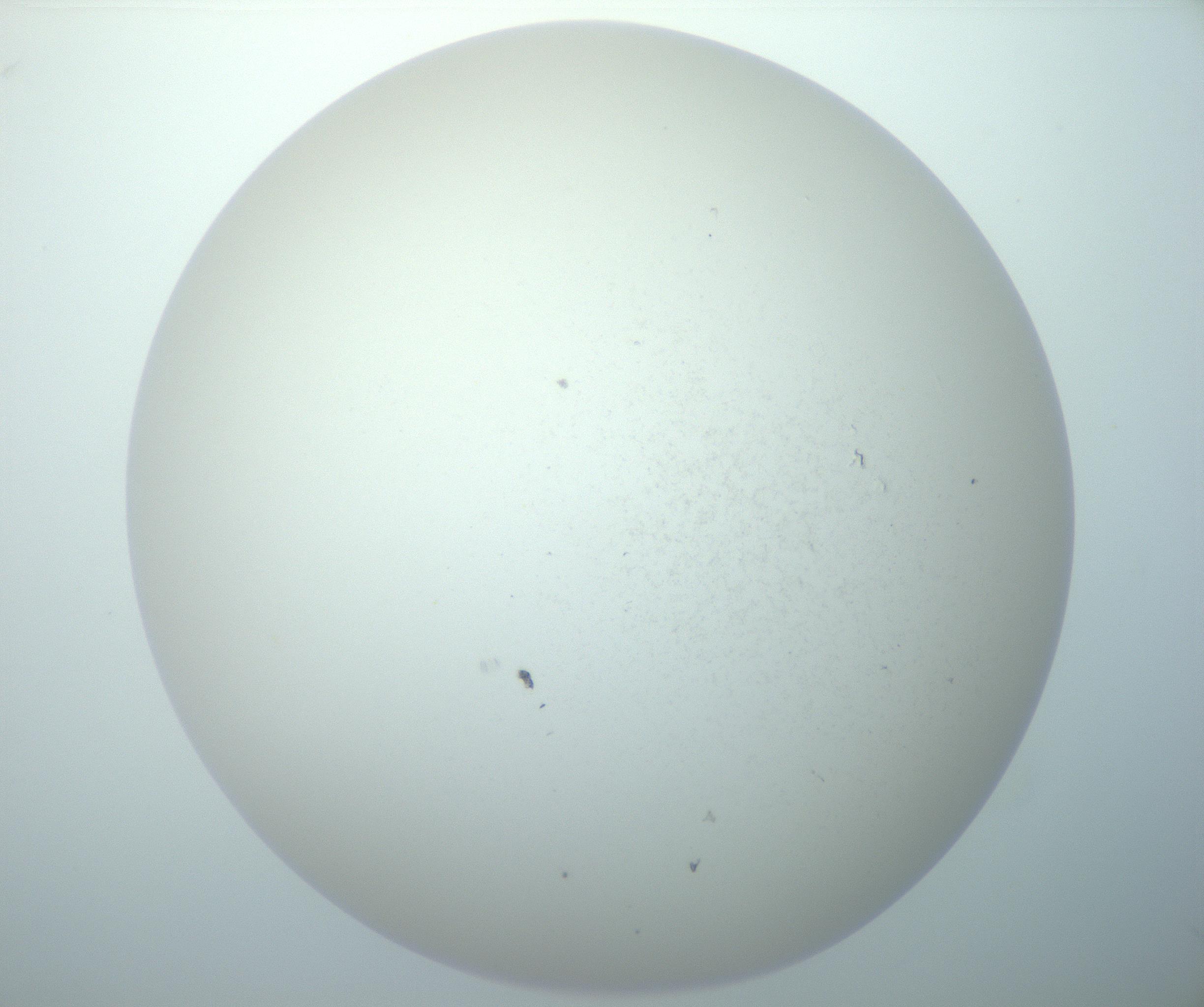 RI01_03_000_0212_Proj1_Clon1_MC_0000MC103014_003_161122_12_05_02_00_99_002_001_RAI.jpg